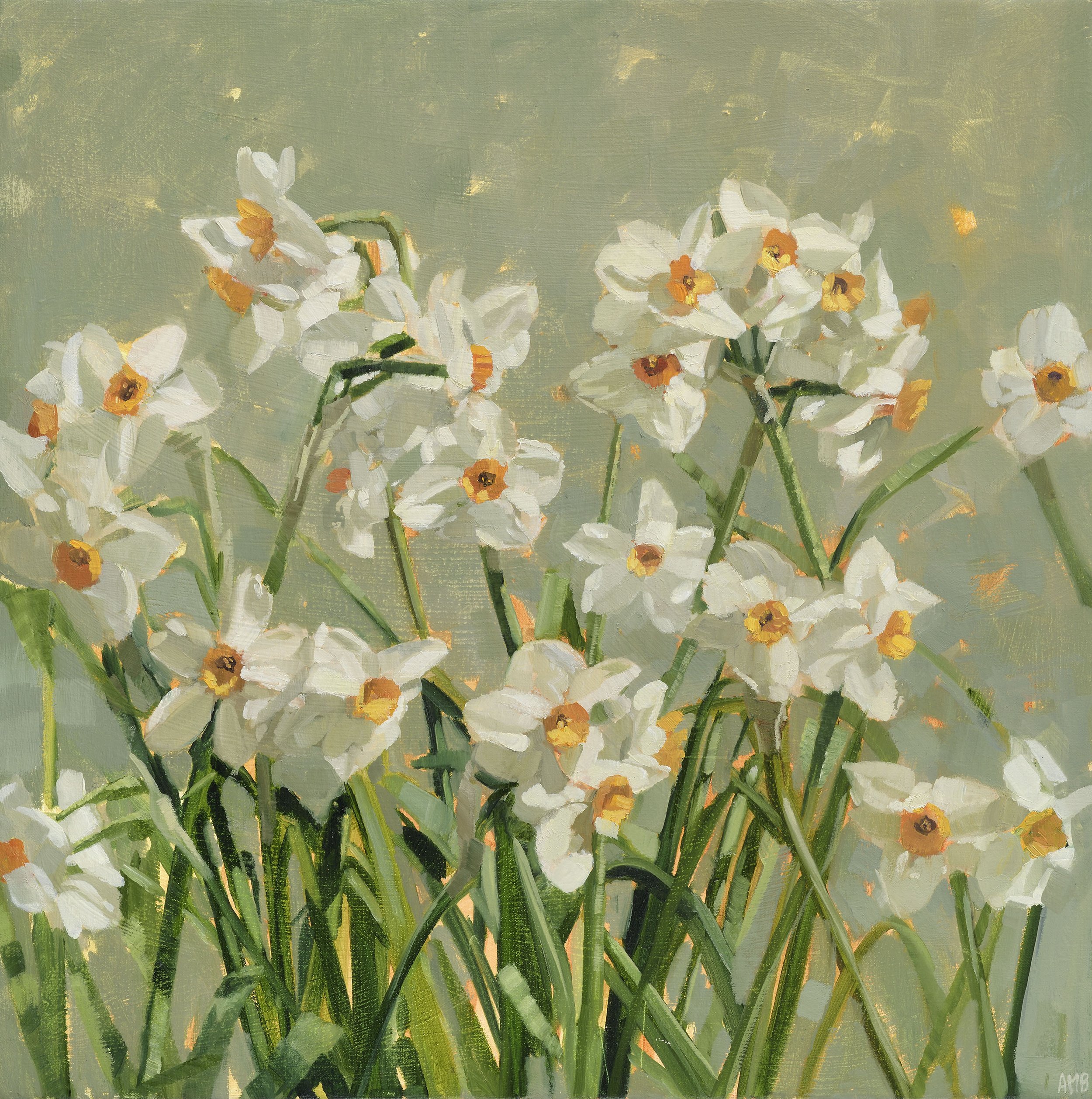 Early Narcissi (CCA)