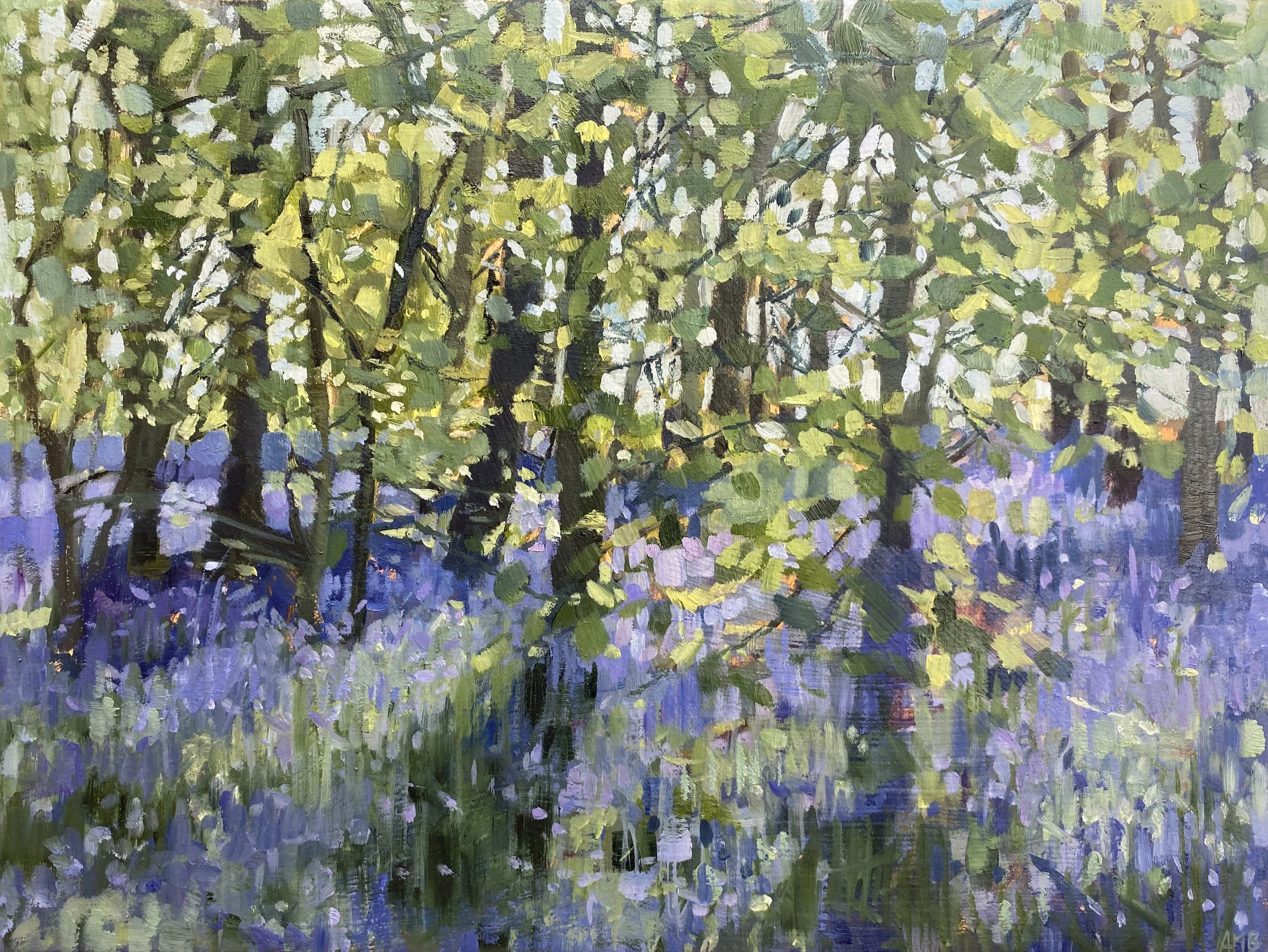 April Morning – Bluebell Wood