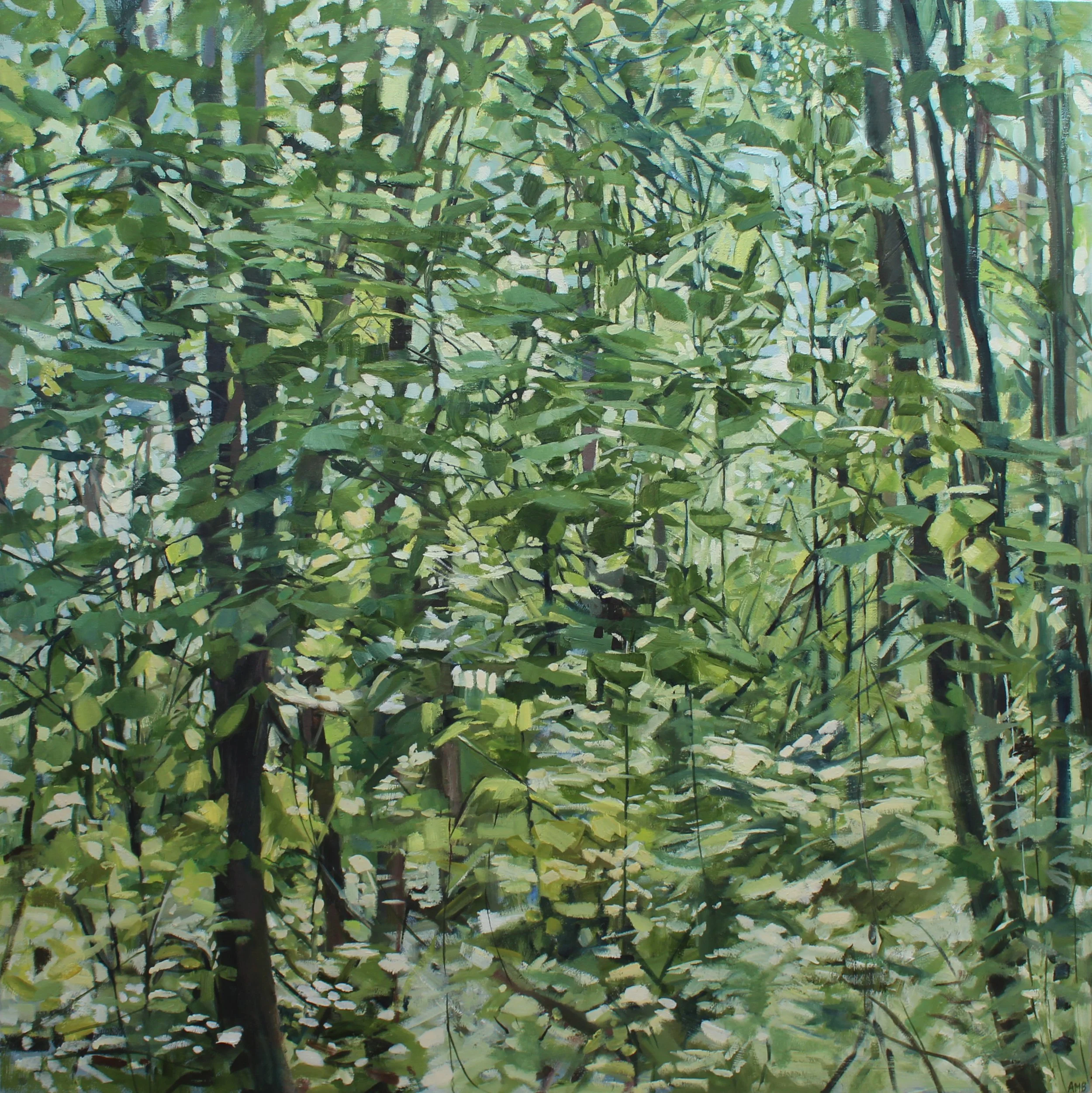 Green Light – Summer Forest