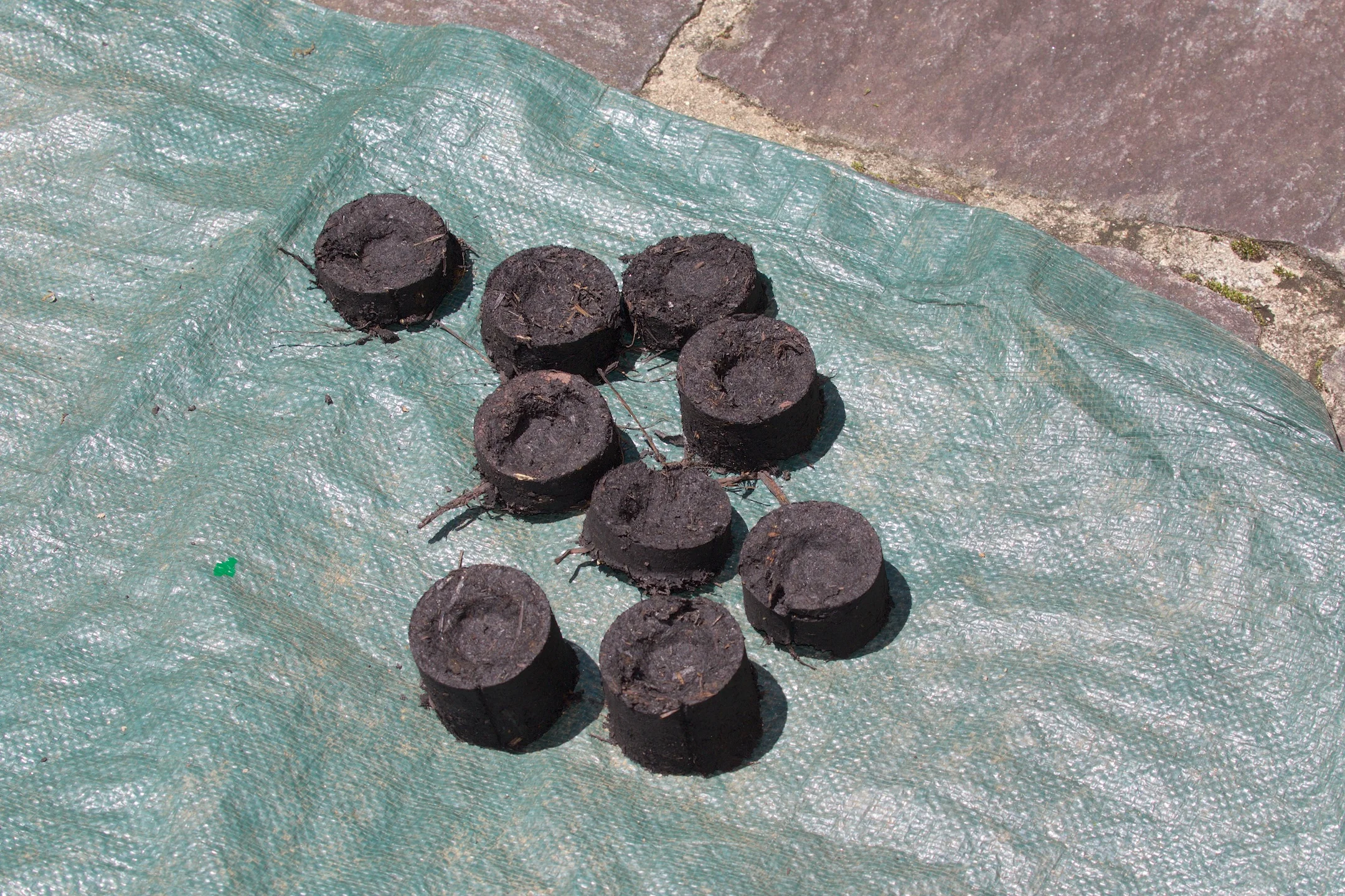 Step 5: Allow Briquettes to dry