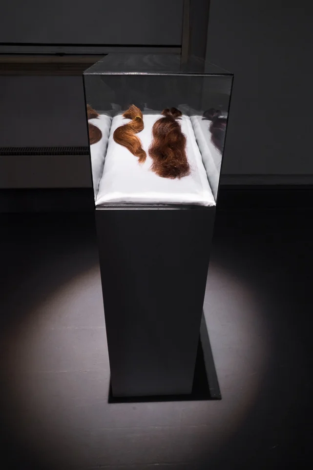  Du har arvet din mors hår, du (2018) av Ole-André Greger Eriksen. Foto: Siri Mari Vitalis Larsen 