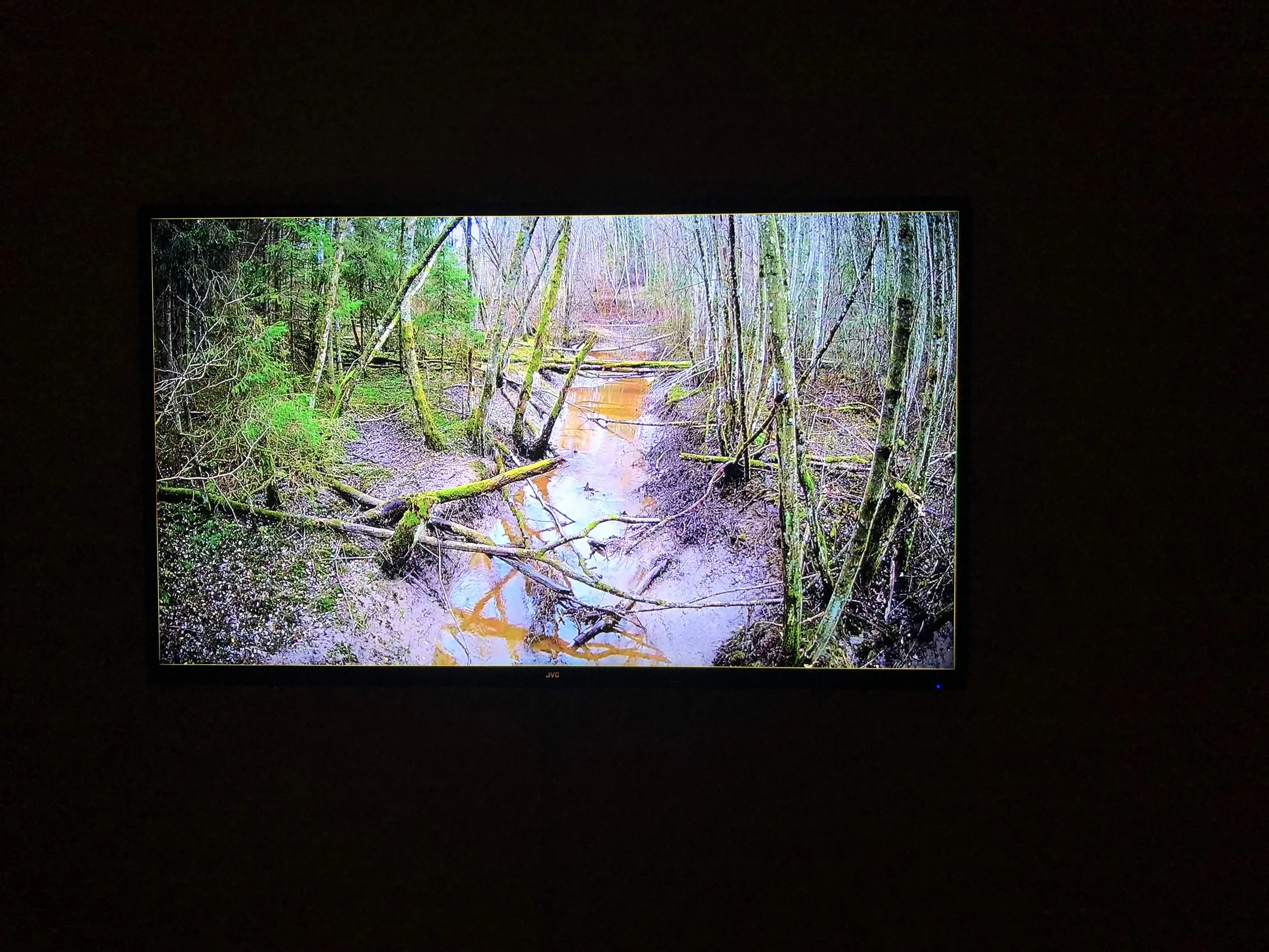  Fra  Holsbekken  (2018) av Søssa Jørgensen og Geir Tore Holm. Foto: Hilde Sørstrøm 