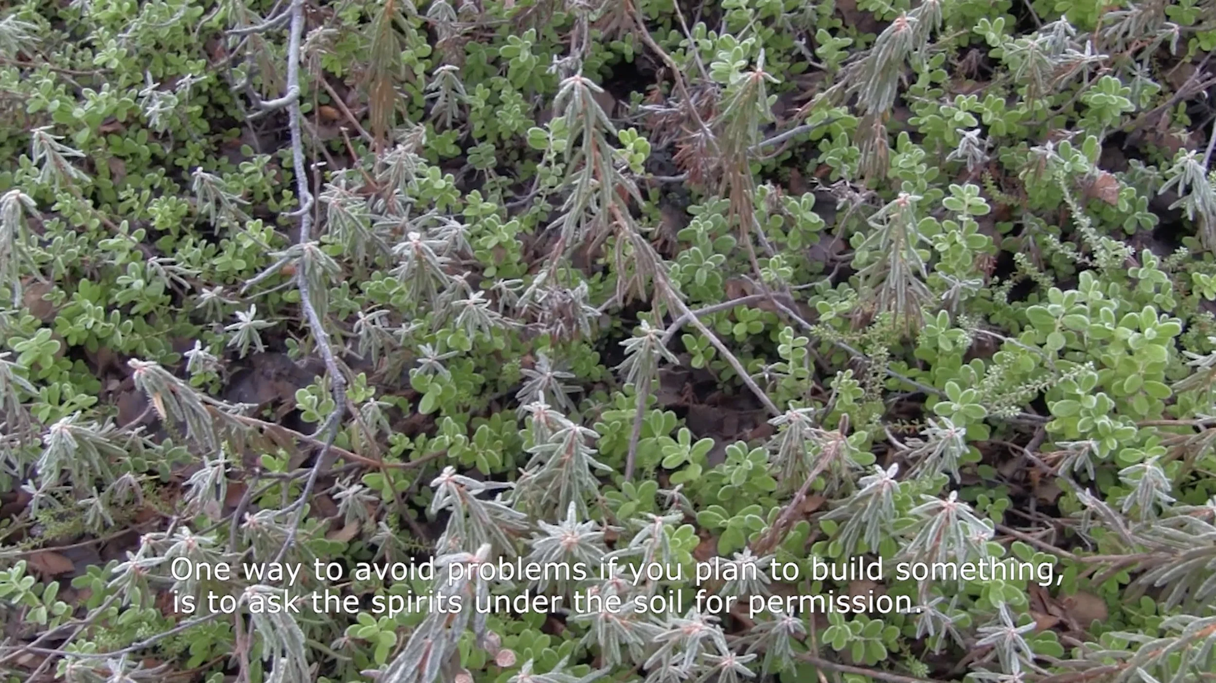 A still from the film (over)tro (2016) by Kristin Tårnes