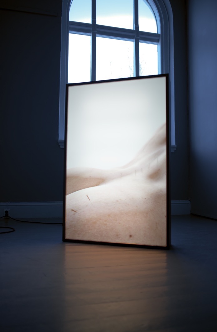  Del av  Pressure Point Acupuncture  (2019) av New Mineral Collective. Foto: Vsevolod Kovalevskij/Tromsø Kunstforening 
