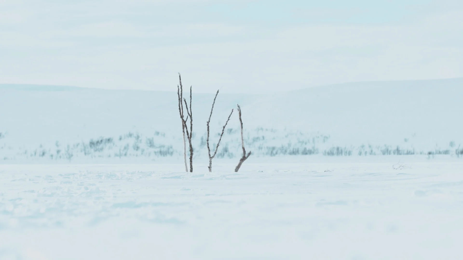  Scene fra Post-Capitalist Architecture-TV. Foto: Ken Are Bongo 