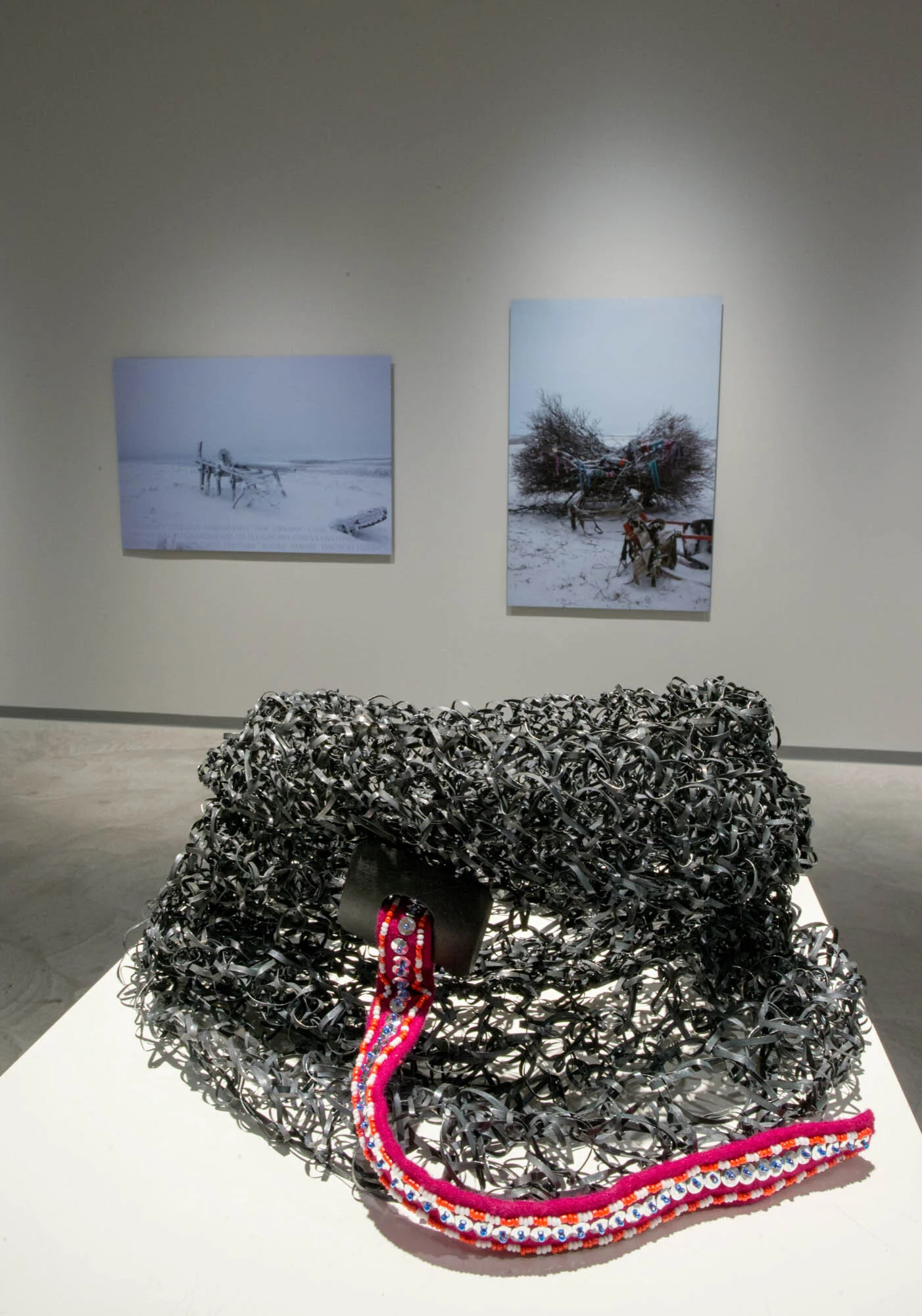   Tundra Buff  (2015) Foto: Liv Engholm 