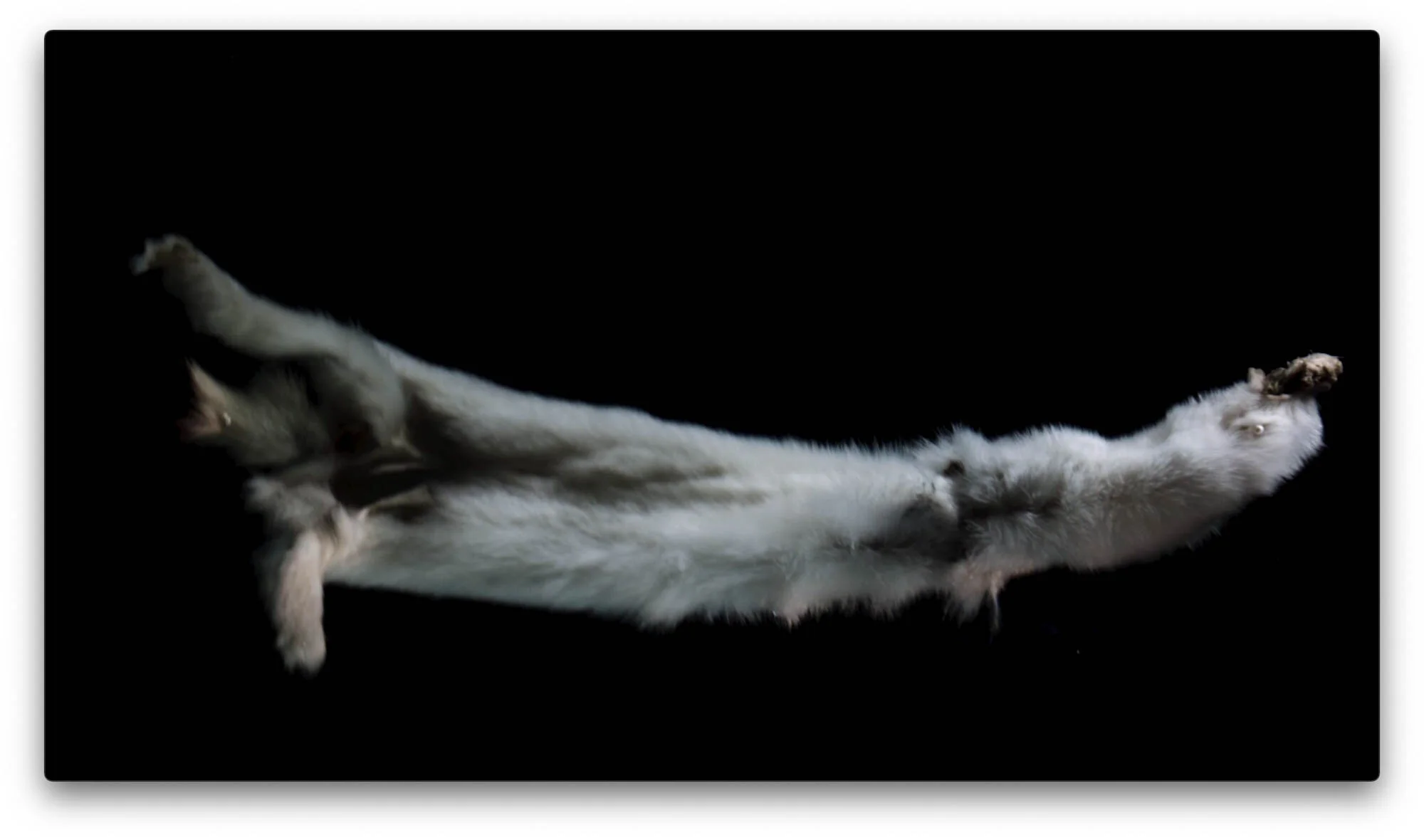  Still from the two channel video  Half Hidden  (2019) by Anne Haaning.  