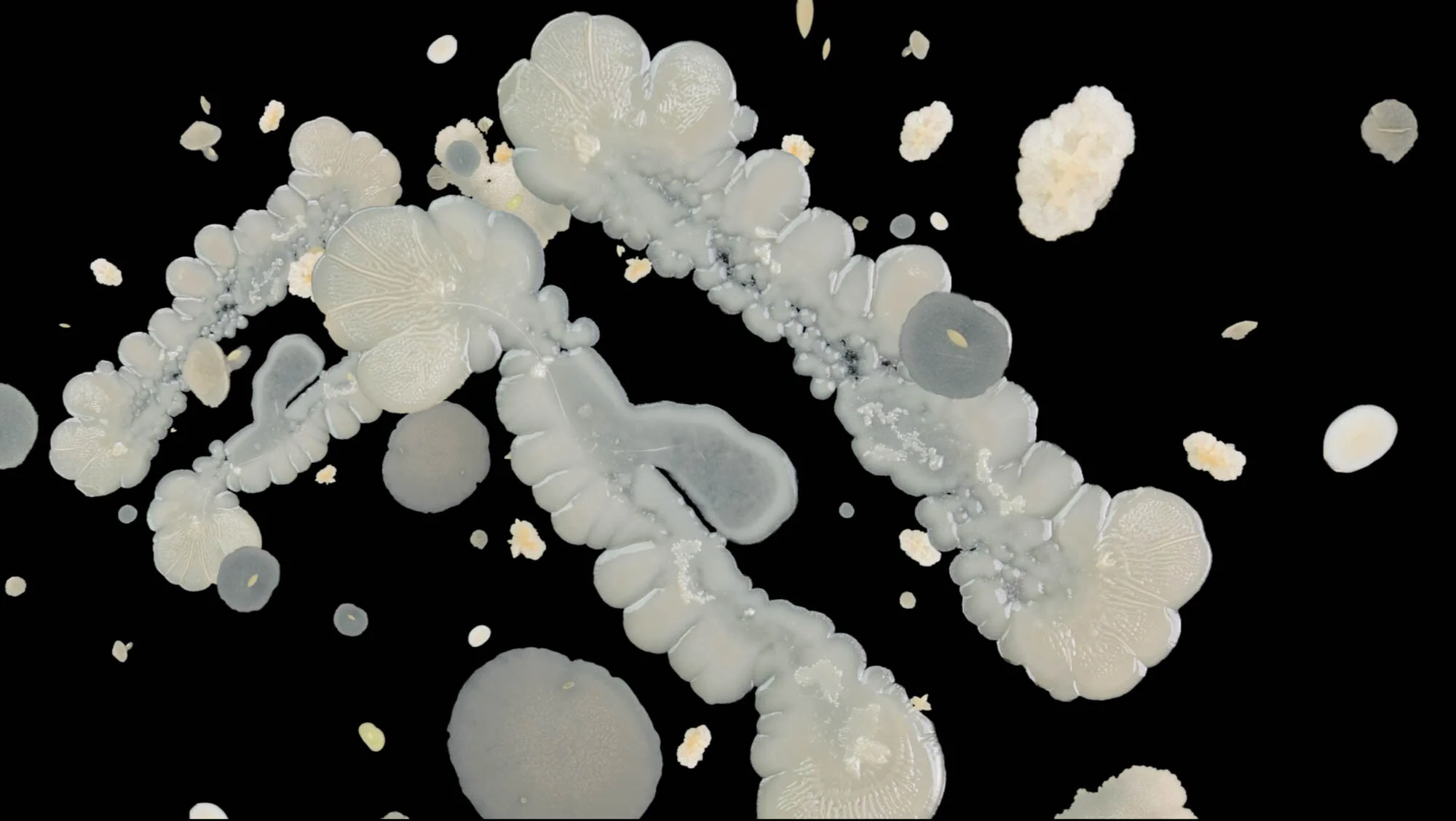 FROM THE GUT TO OUTER SPACE