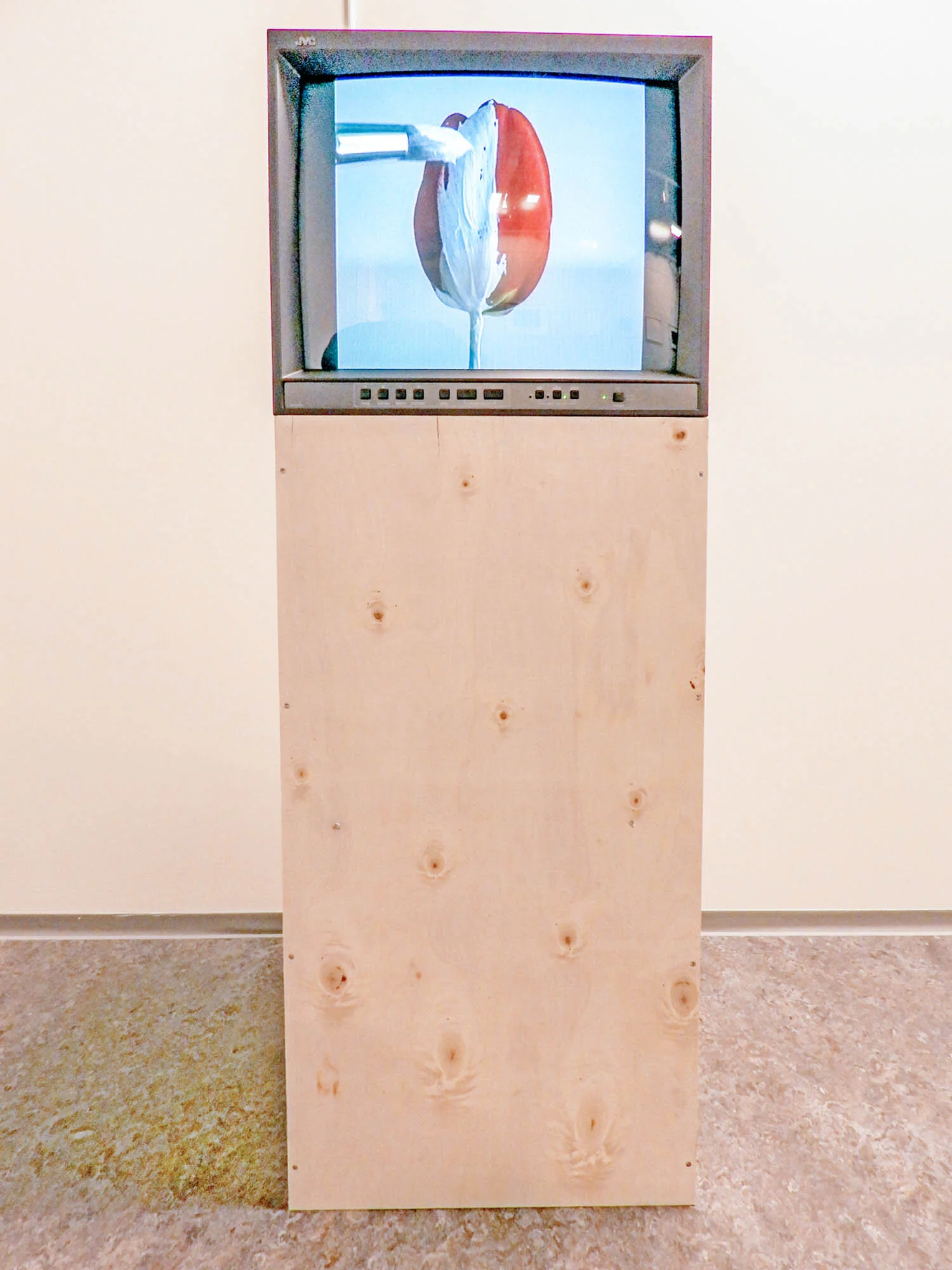  Fra AK Dolvens videoverk  Still Life  (1998).  