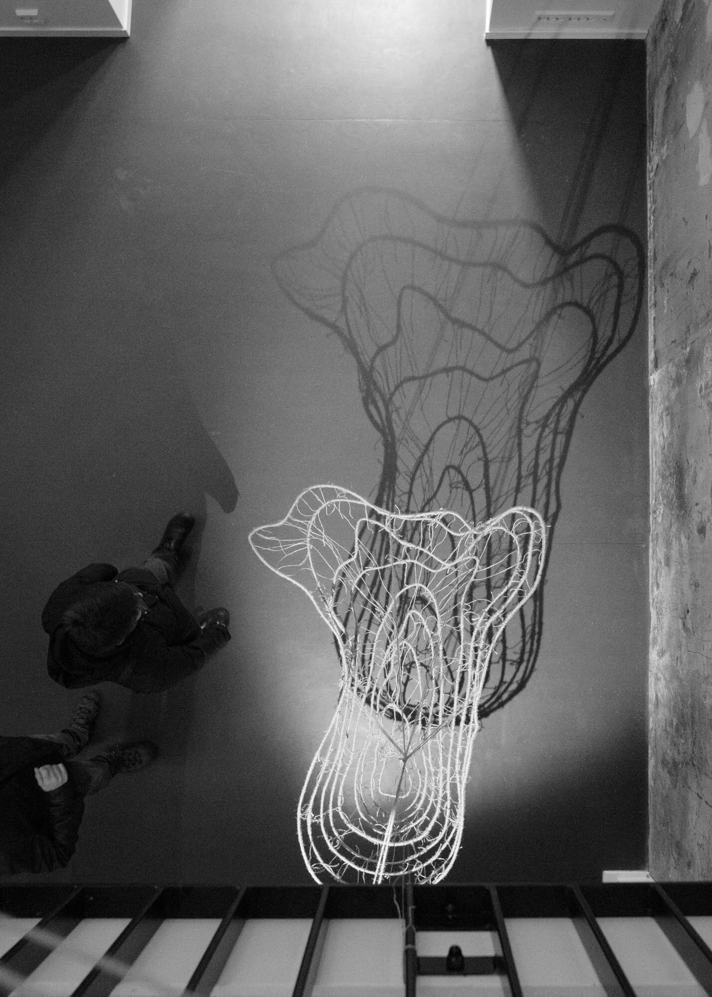  Seen from above: Veronica Mathisen’s hanging sculpture  Sea Land  made from jute and steel wire,  at Gallery Snerk.    Photo: Mihály Stefanovicz 