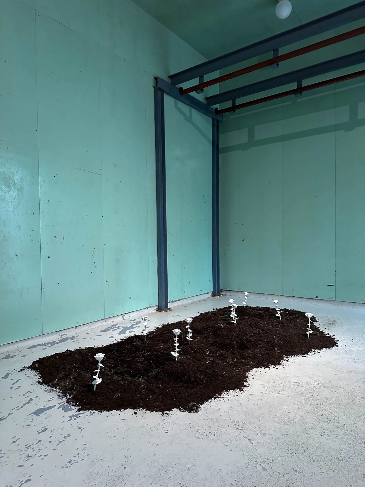   VINESE , installasjon av Noah Holtegaard. Foto: Hilde Sørstrøm.  
