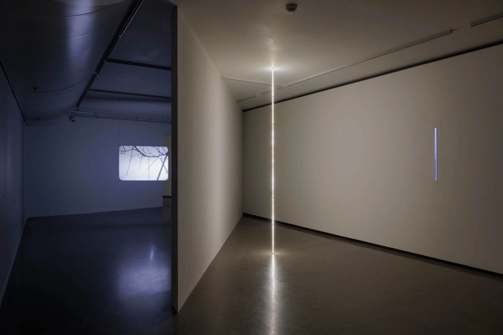  Foto: Marius Fiskum/Nordnorsk Kunstmuseum 