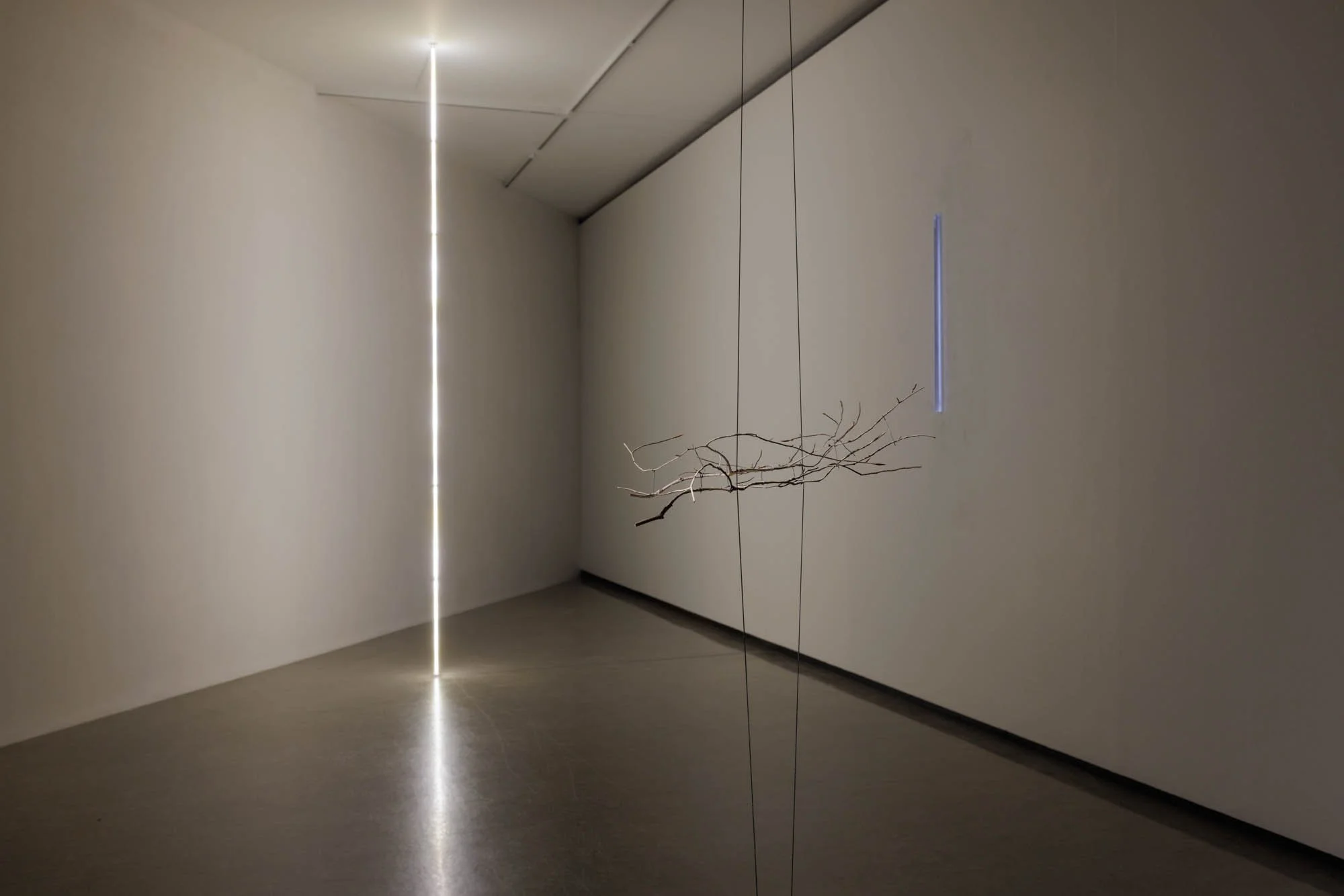  Foto: Marius Fiskum/Nordnorsk Kunstmuseum 