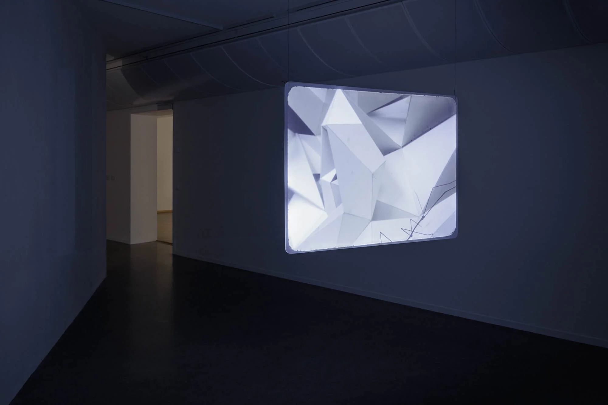   Phasmides  (2012), 16mm overført til HD video. Foto: Marius Fiskum/Nordnorsk Kunstmuseum. 