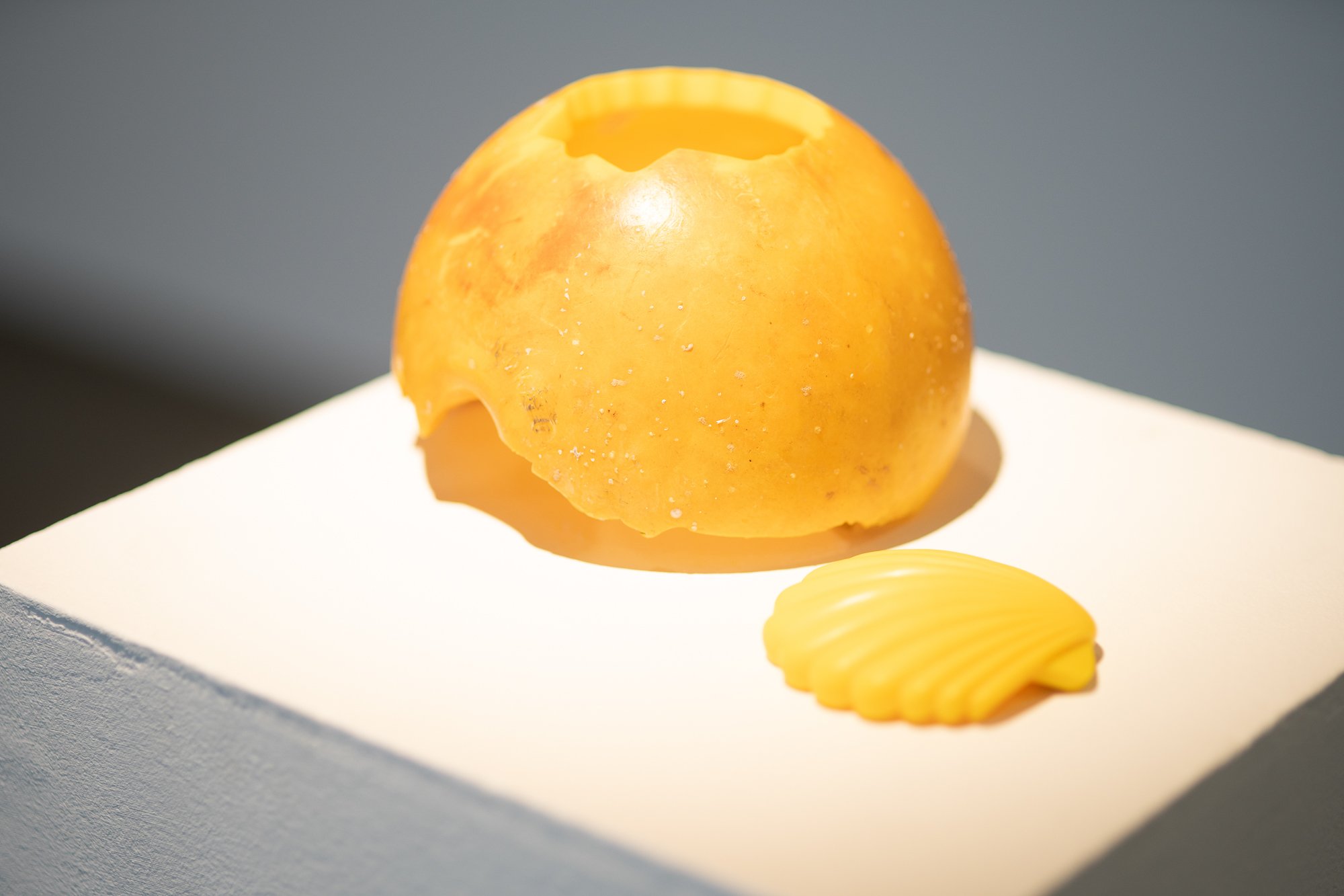   Shell  (2022) av Philipp Spillmann, del av  i Den 77. Nordnorske Kunstutstilling – Nordnorsken . Foto: Steve Nilsen 