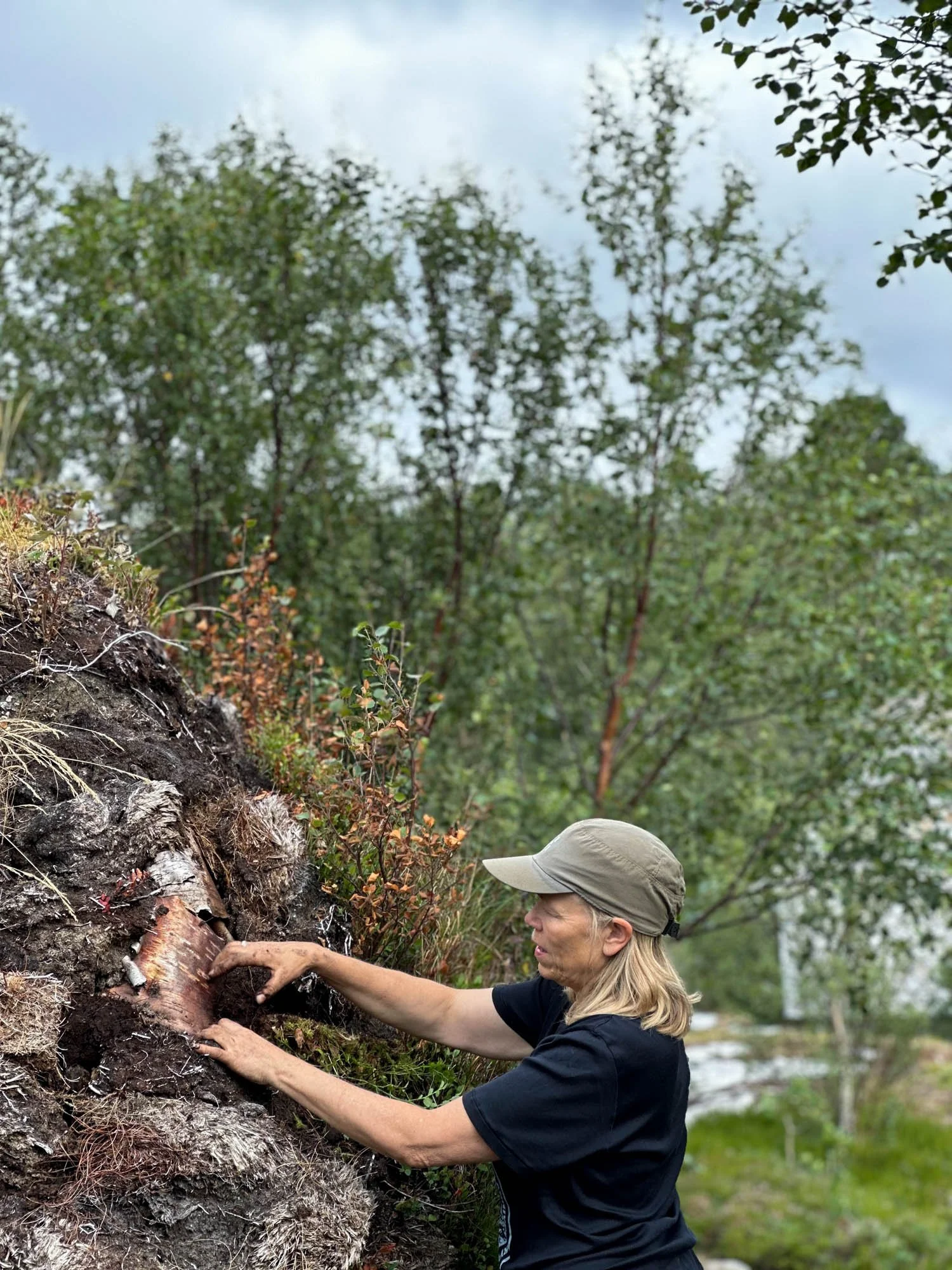  Søssa Jørgensen gjør vedlikeholdsarbeid på buegammen/Bealljegoahti i 2023. Foto: Hilde Sørstrøm 