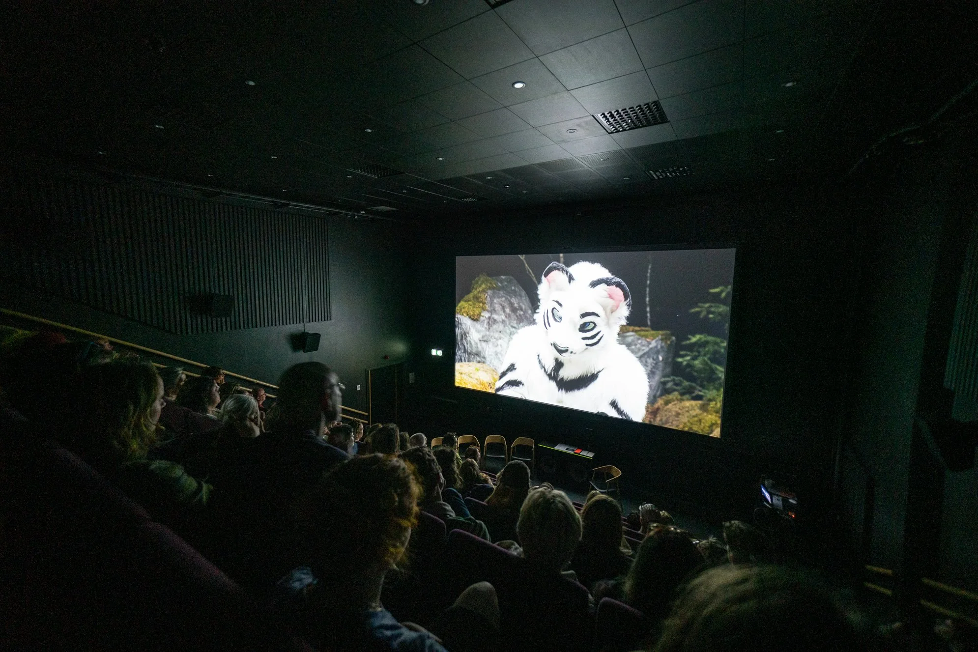  Visning av  A Furry Tale  av Nanna Hovedskov. Foto: Edvart Falch Alsos.  