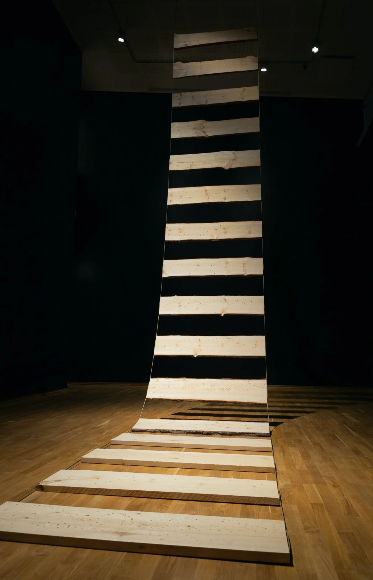  The Sky Ladder, installation by Raven Cachon. Photo: Nordnorsk Kunstmuseum.  
