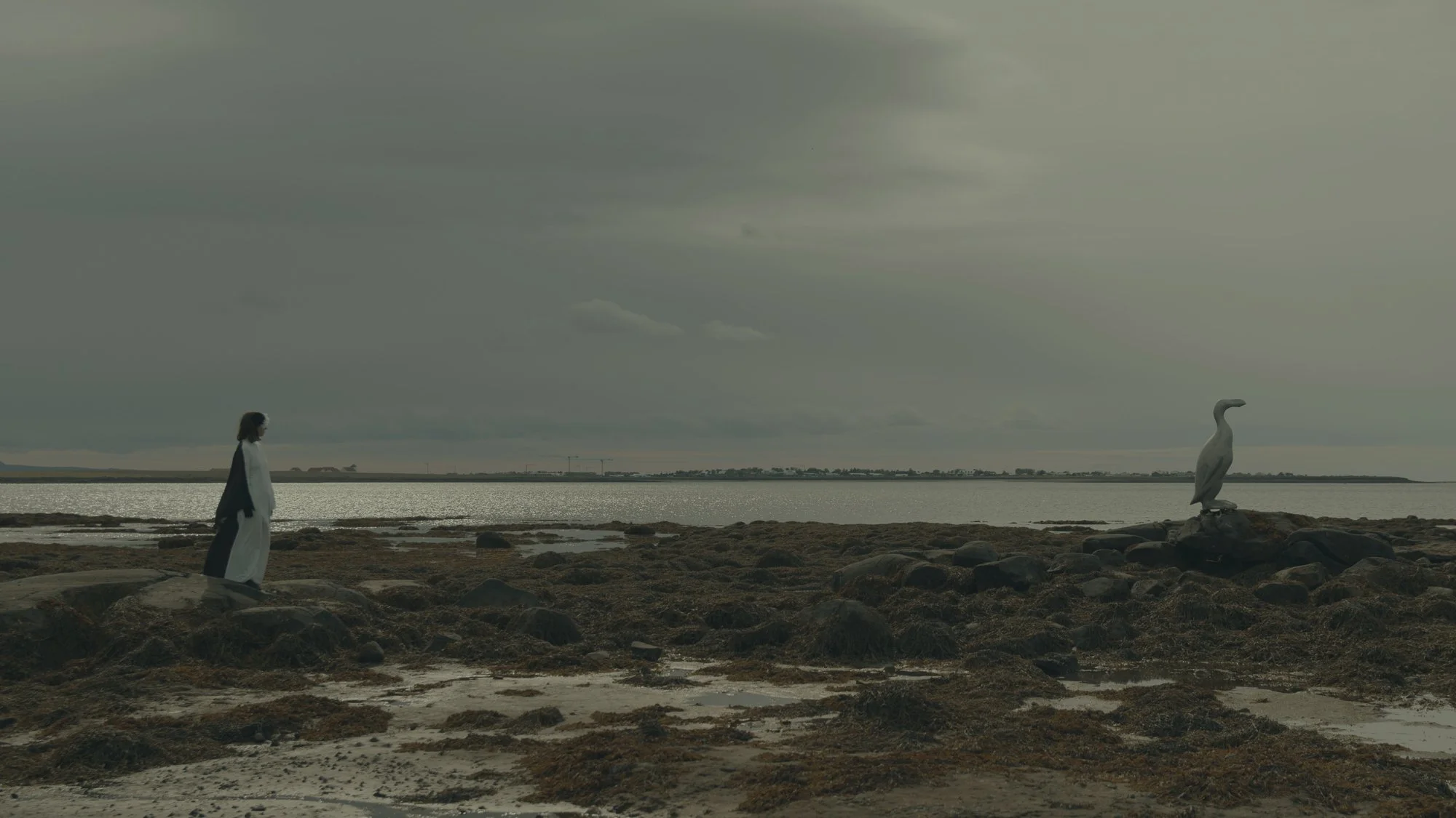   Choreographies towards loss  (2024) 4K video, stereo lyd, 60 min, stillbilde. Foto: Irene Kaltenborn 