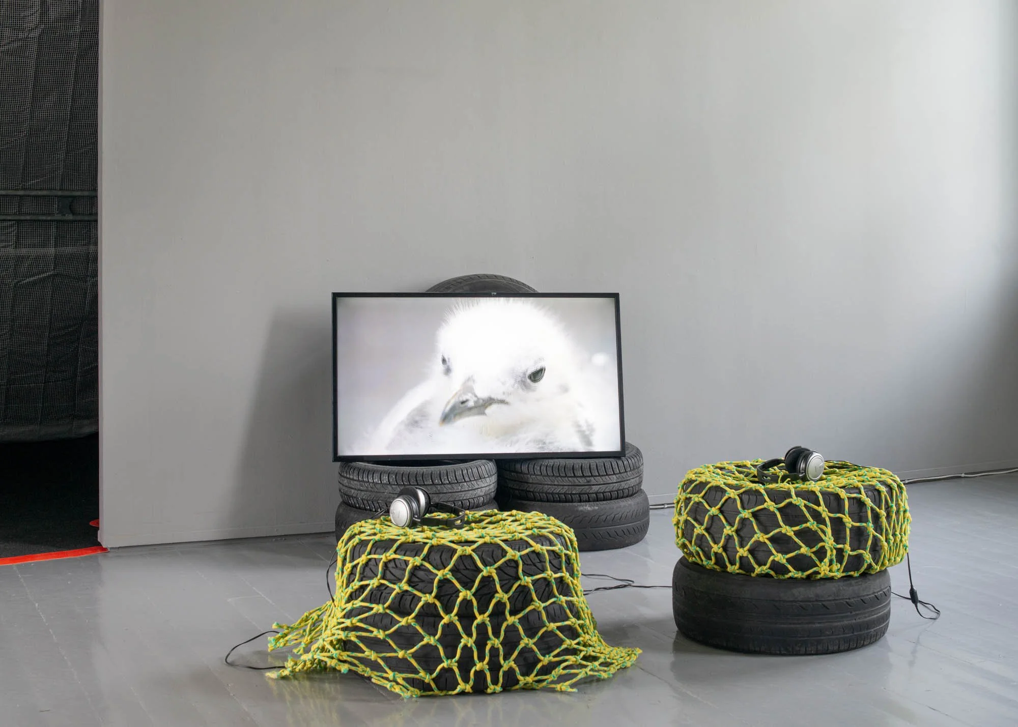   Asfalt  (2022), video av Irene Kaltenborn. Verket var del av Tromsø Kunstforenings gruppeutstilling  Jeg ….. måser! En utstilling om å leve sammen  hos Tromsø Kunstforening i 2022. Foto: Mihály Stefanovicz/Tromsø Kunstforening. 