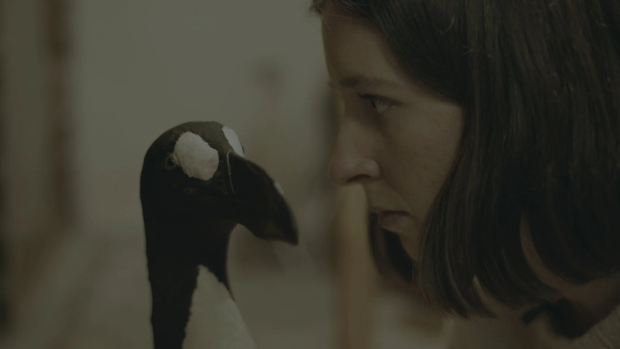 Poetisk film som aktivisme