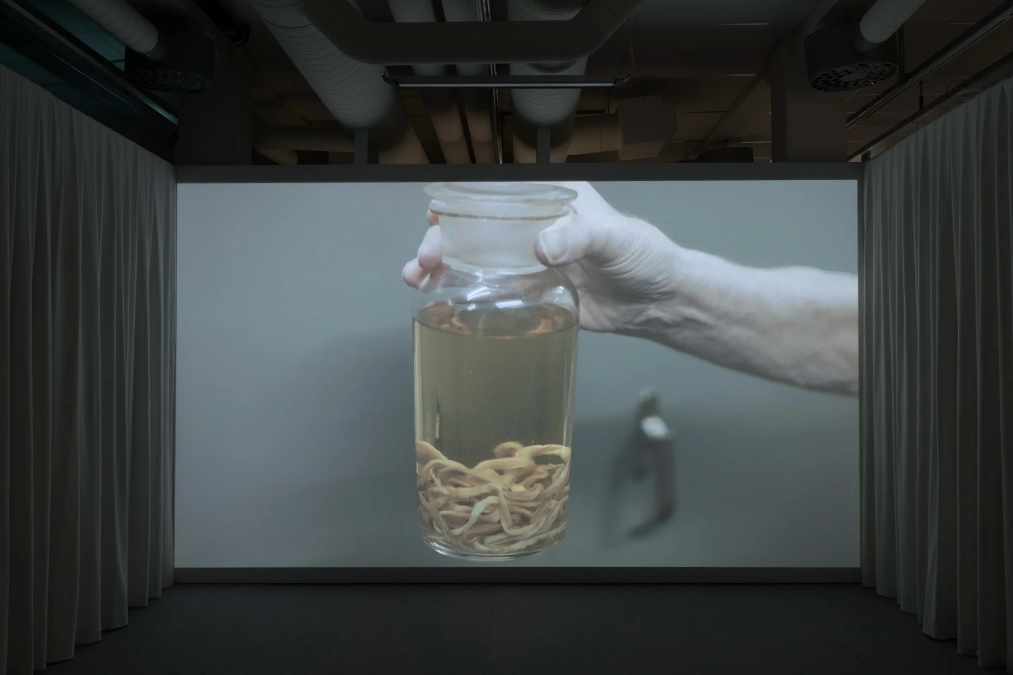  Visning av  Choreographies towards loss  (2024), film av Irene Kaltenborn. Foto: Irene Kaltenborn 