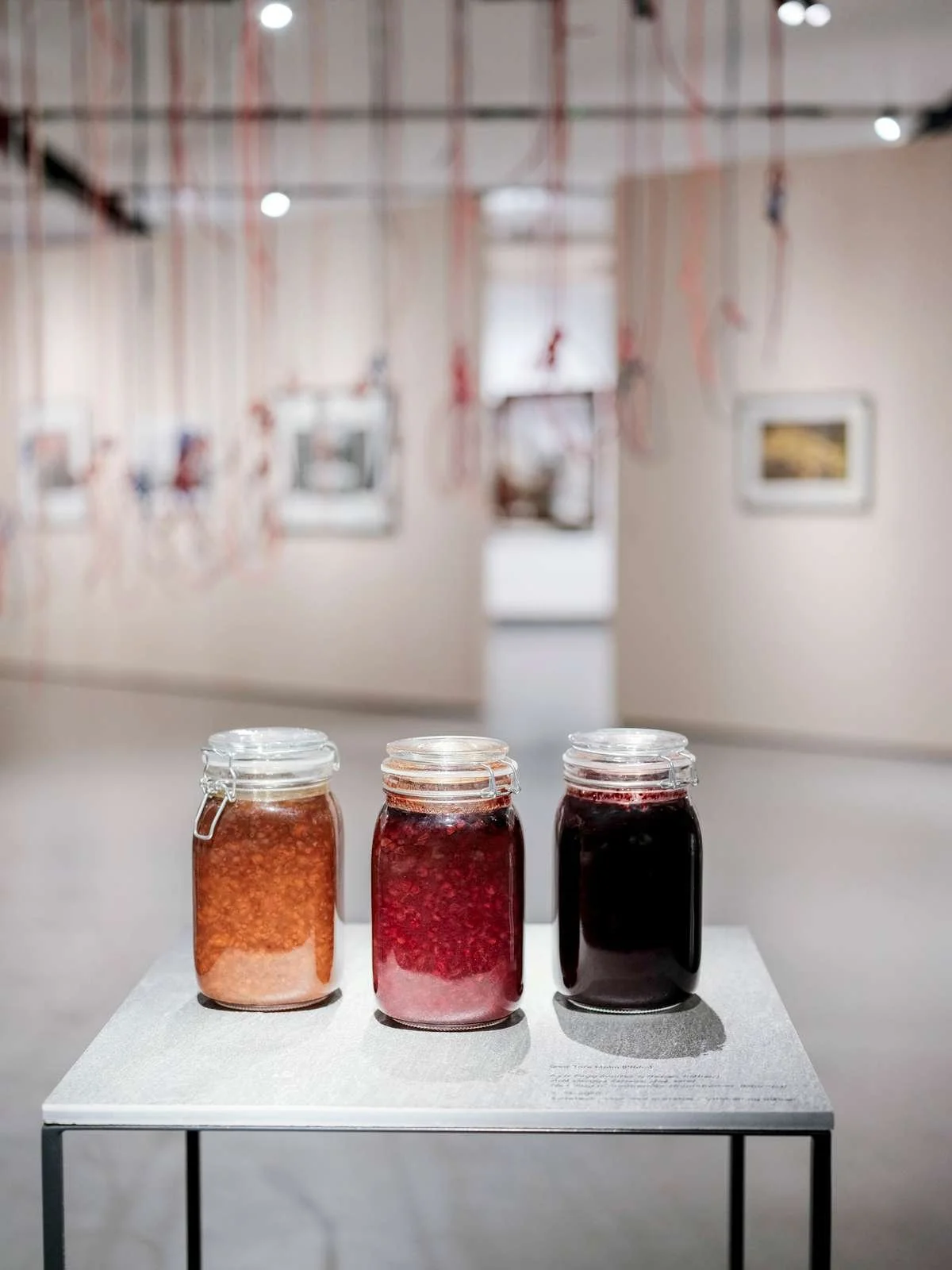   Oðða leavga (luomi, jokna, sarrit) / Nytt flagg (multer, tyttebær, blåbær)  av Geir Tore Holm. Foto: Dan Mariner / Nordnorsk Kunstmuseum 