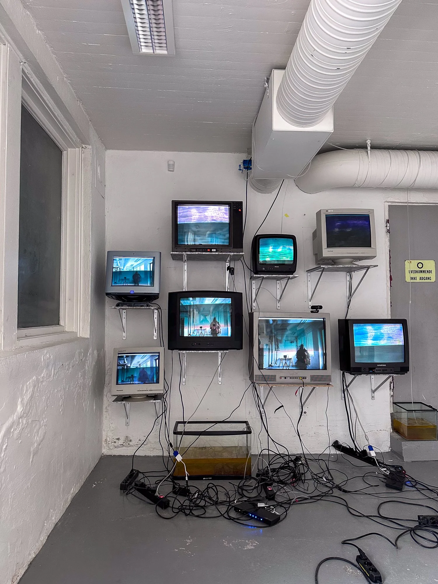   OS-Agnostisk , videoinstallasjon av Mimii Midorikawa. Foto: Hilde Sørstrøm 