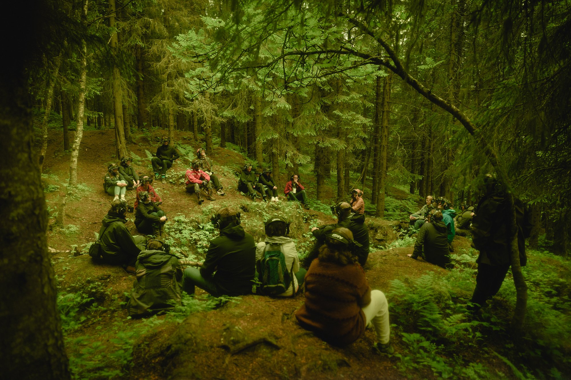 The Conscious Forest 