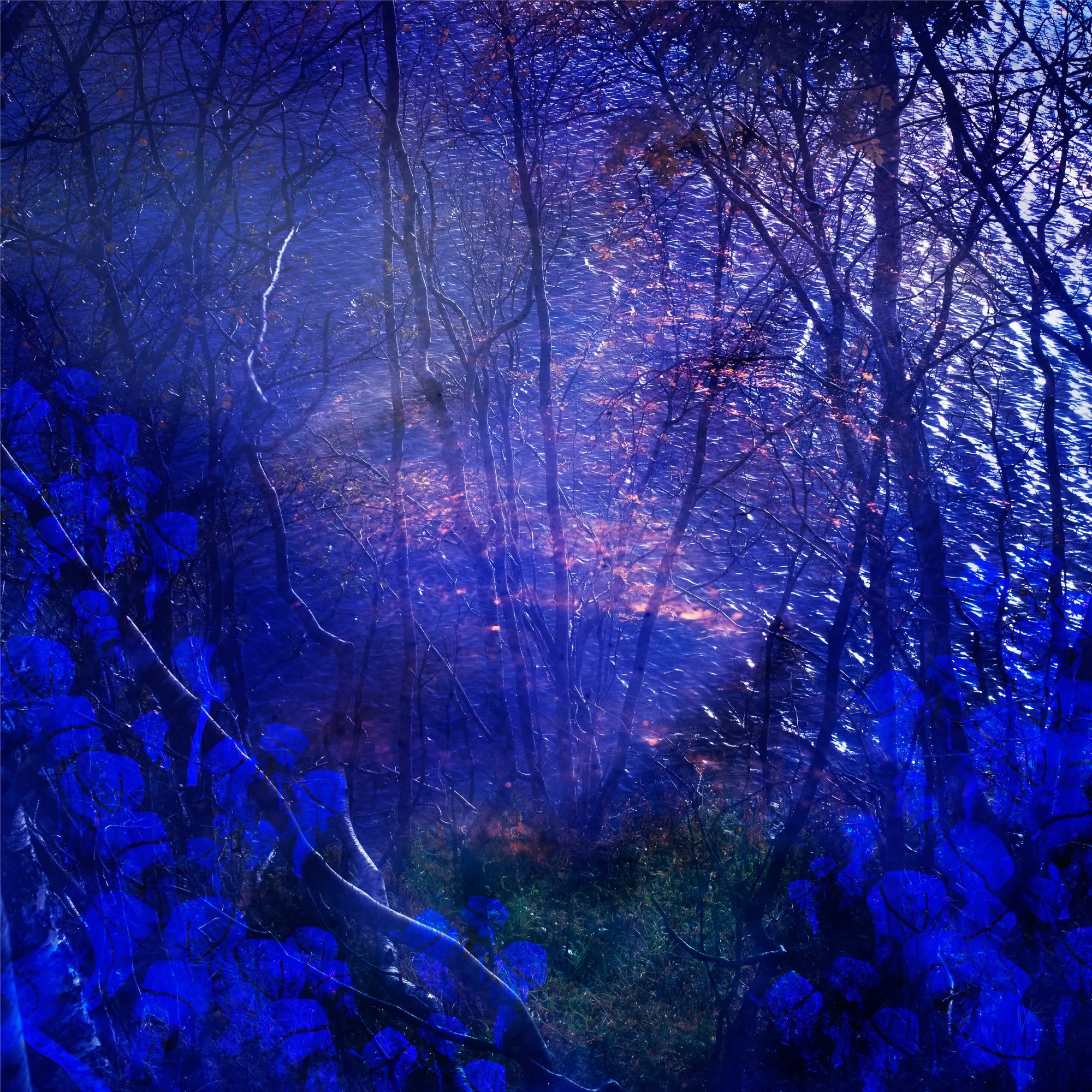  Lada Suomenrinne,  Gállábártniid jávri (Ensimmäisten saamelaisten järvi)  (2025),  Sápmi. 110 x110 cm, archival pigment print, framed, museum glass.  