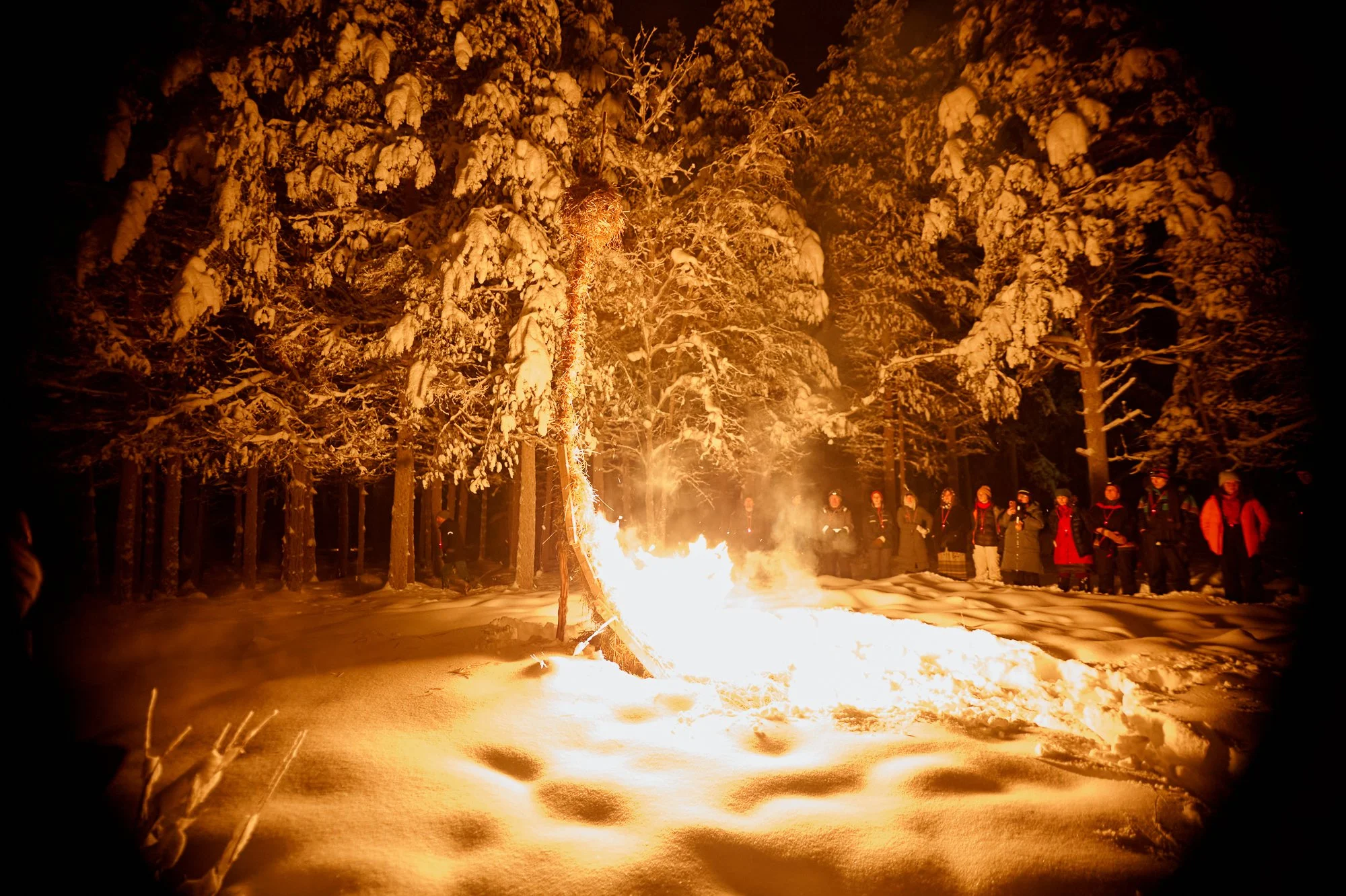 Å danne flokk i mørket
