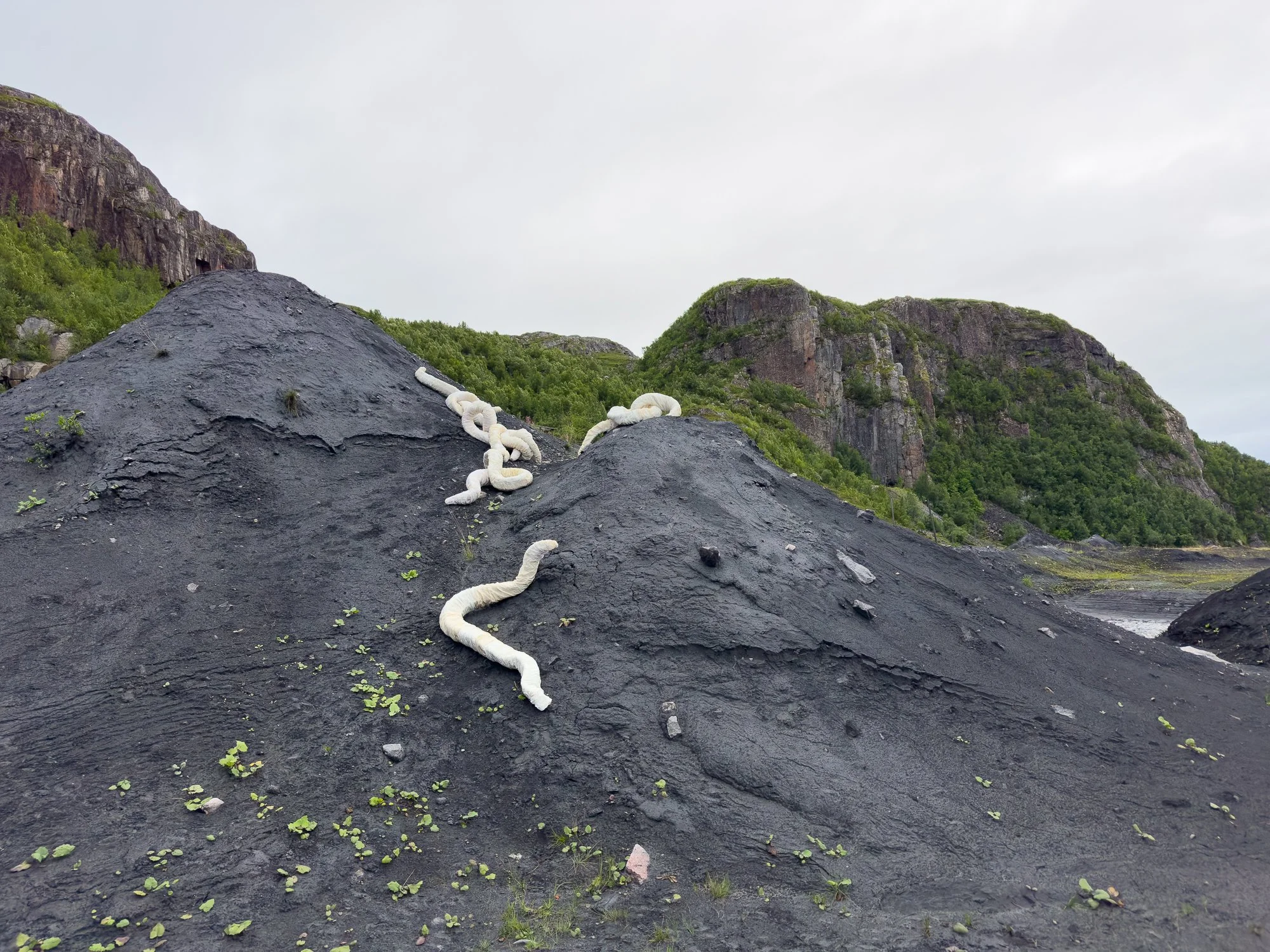  Annike Flos tekstile skulpturer, del av kunstinstallasjonen,  Jærtegn . Her ved Slambaken i Kirkenes. Foto: Hilde Sørstrøm 