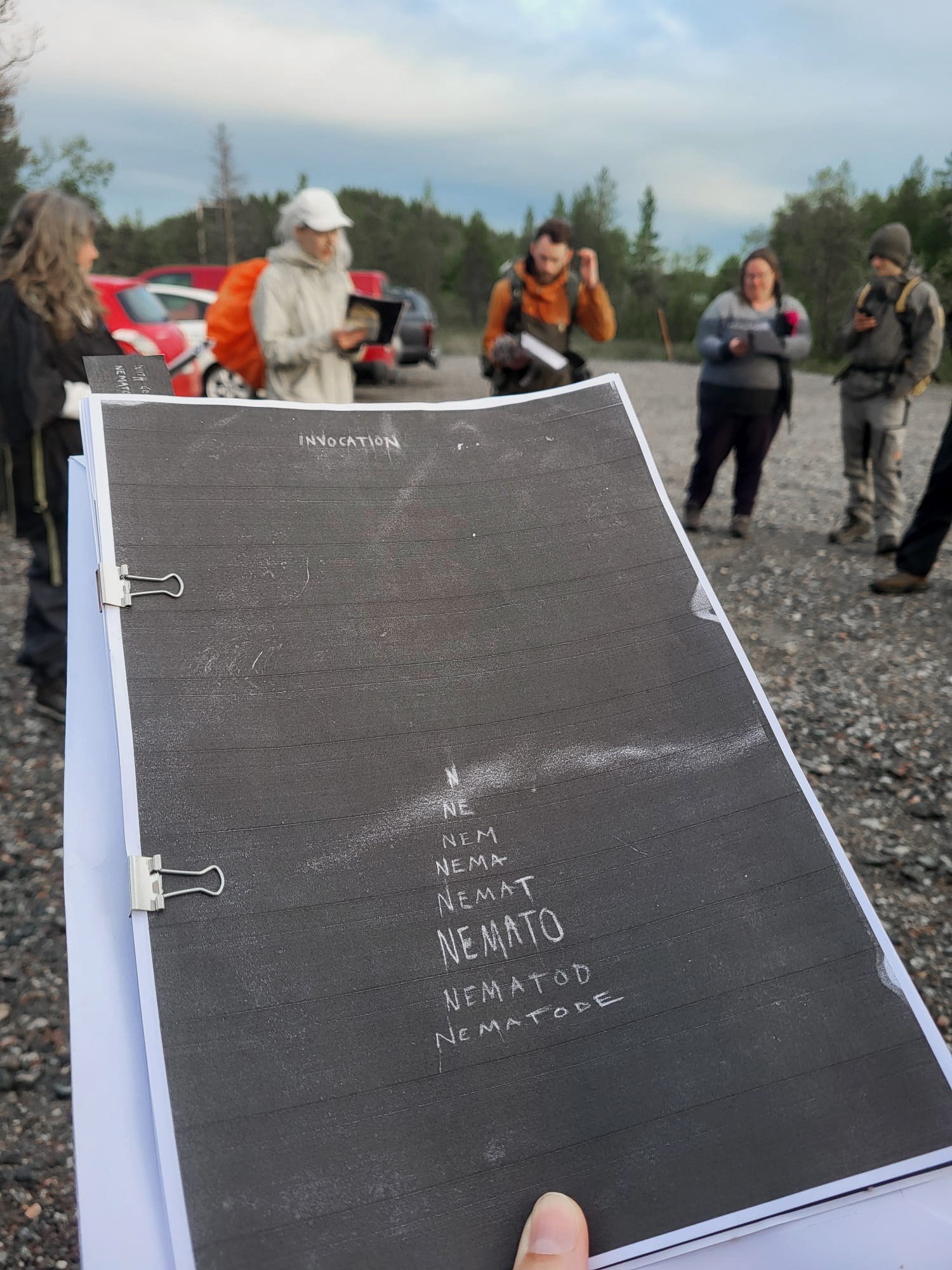  Foto: Kjell Gunnar Monsen 