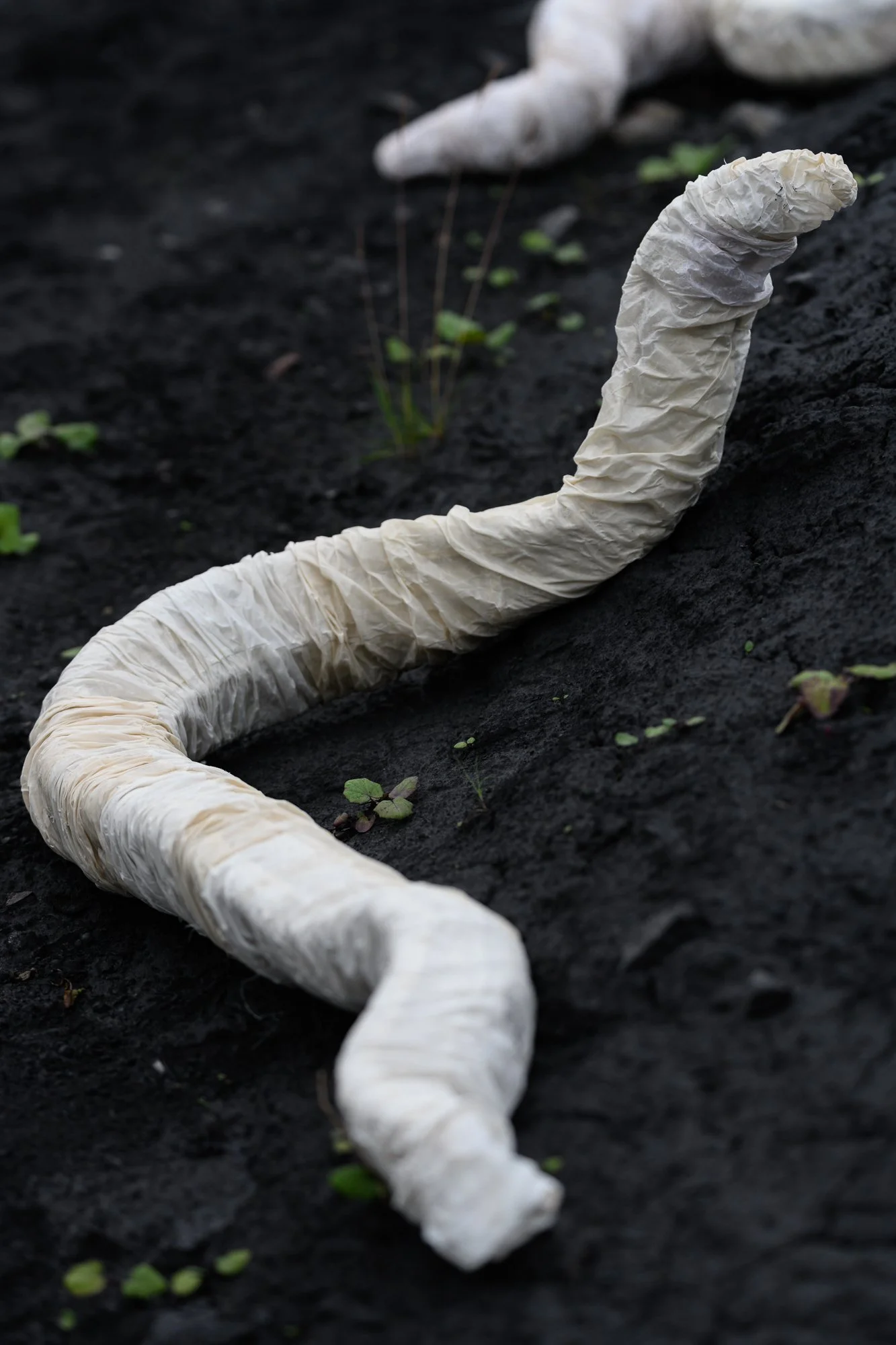  Foto: Kjell Gunnar Monsen 