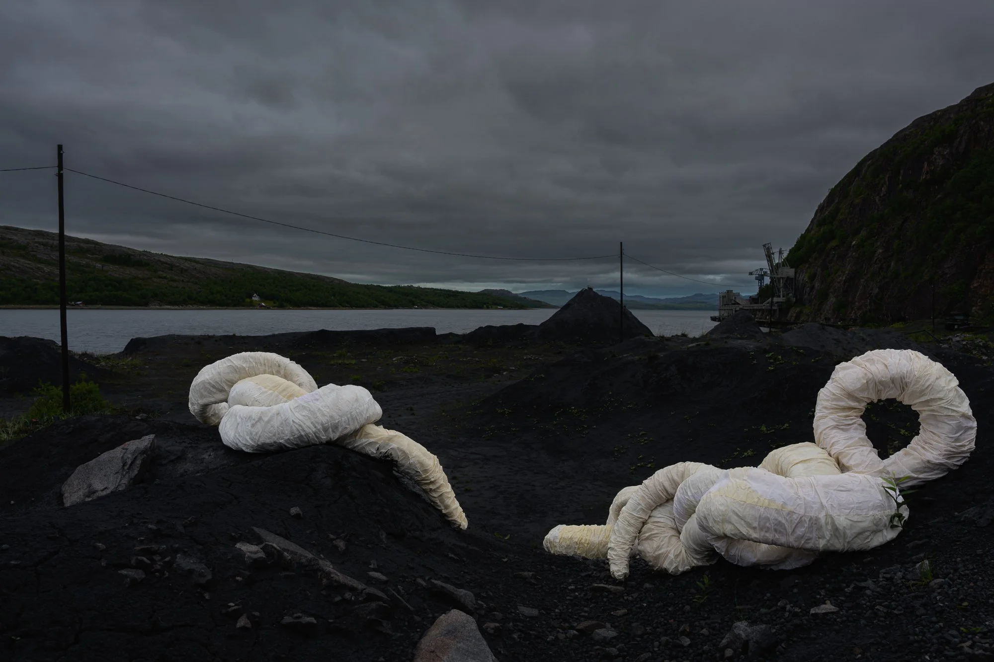  Annike Flos  Jærtegn  ved slambanken i Kirkenes. Foto: Kjell Gunnar Monsen 