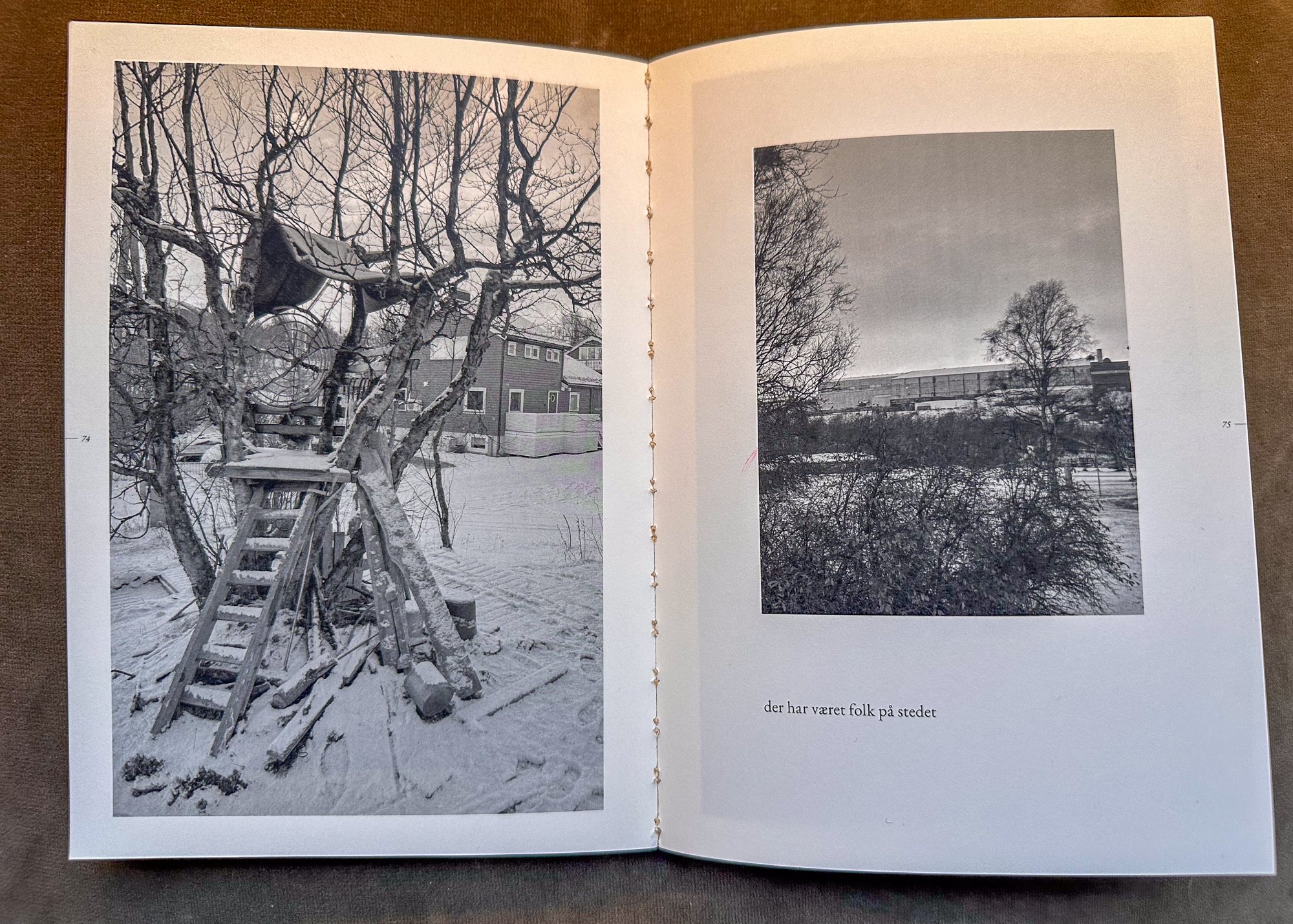   Fra vor grændse mod Piselvnes,  kunstbok av Silje Figenschou Thoresen. Foto: Hakapik  