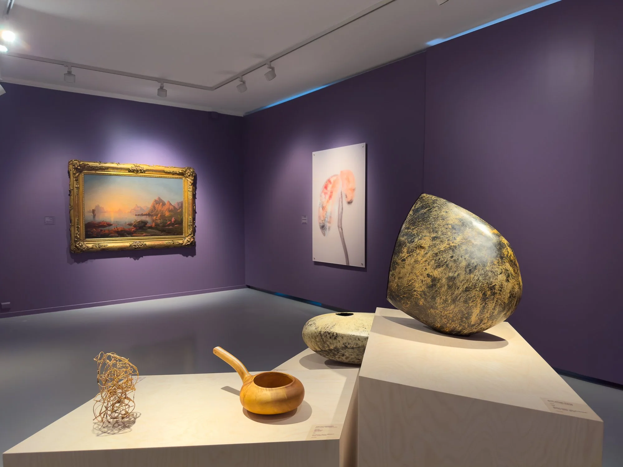  Fra samlingsutstillingen  Til naturen  ved Nordnorsk Kunstmuseum. Foto: Hakapik / Hilde Sørstrøm 