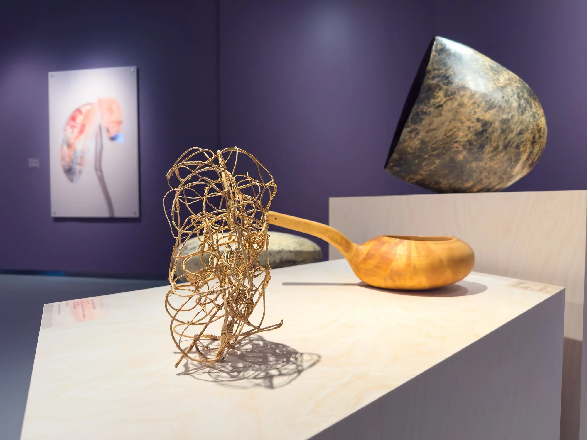  I forgrunnen:  Kaksikymmentäkolme eksperimenttia, kombineerattu (tjuetre forsøk)  (2019-2020). Skulptur i bjørketeger av Åsne Kummeneje Mellem. I bakgrunnen vises verk av Jon Ole Andersen, Rose-Marie Huuva og Tanya Busse. Foto: Hakapik / Hilde Sørst