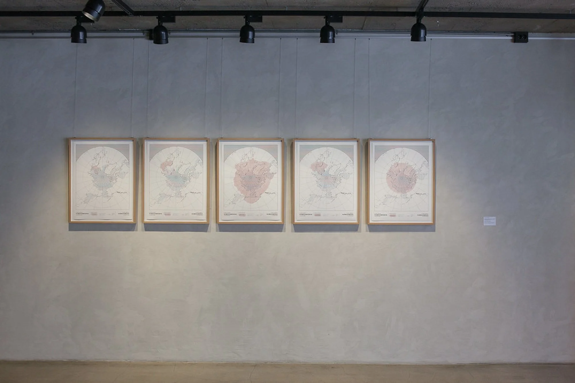   Stadfesting av Nordområdene 1–5  (2023) av Toril Johannessen. Foto: Oleg Khadartsev 