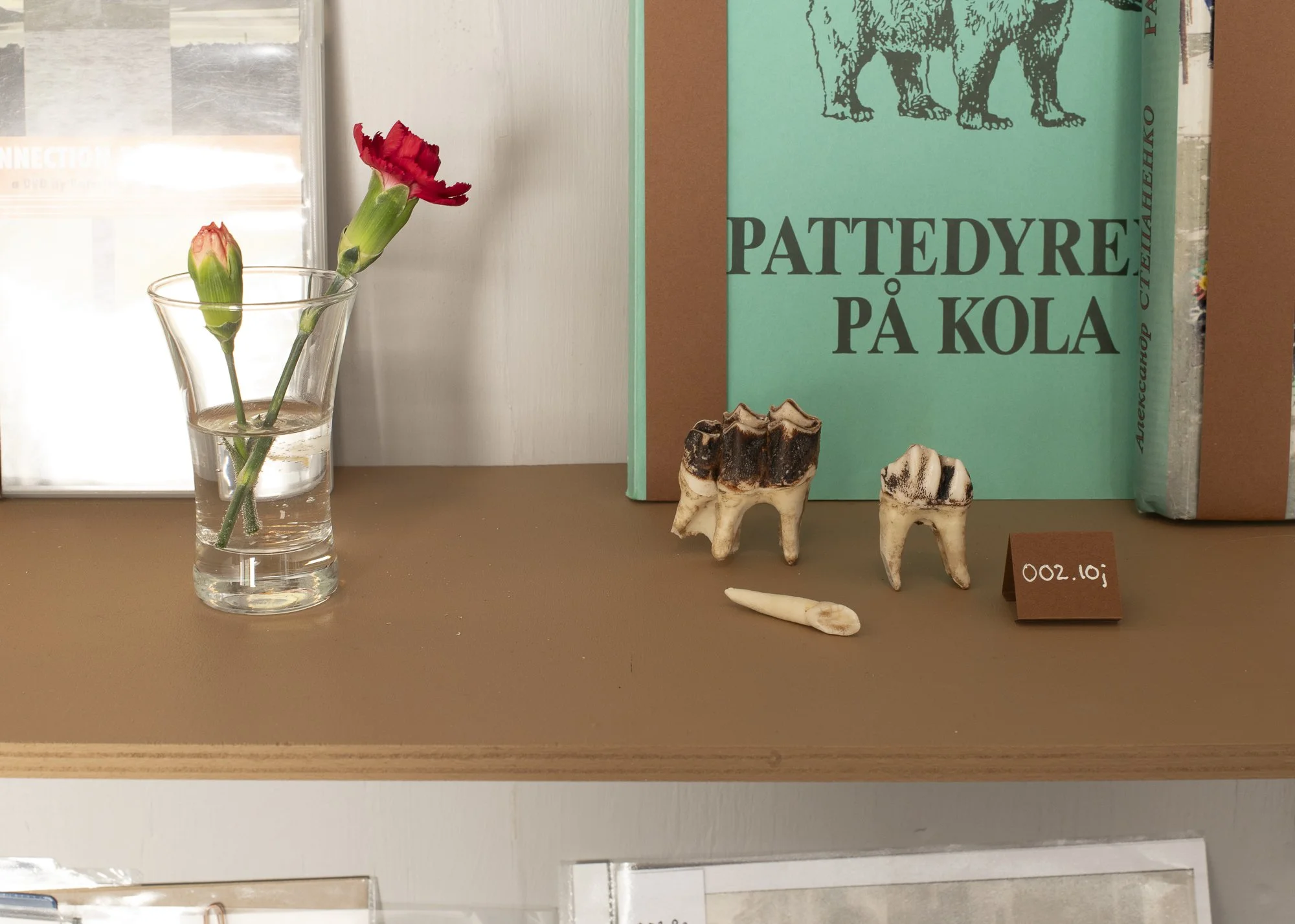  Foto: Mihály Stefanovicz/Tromsø Kunstforening 