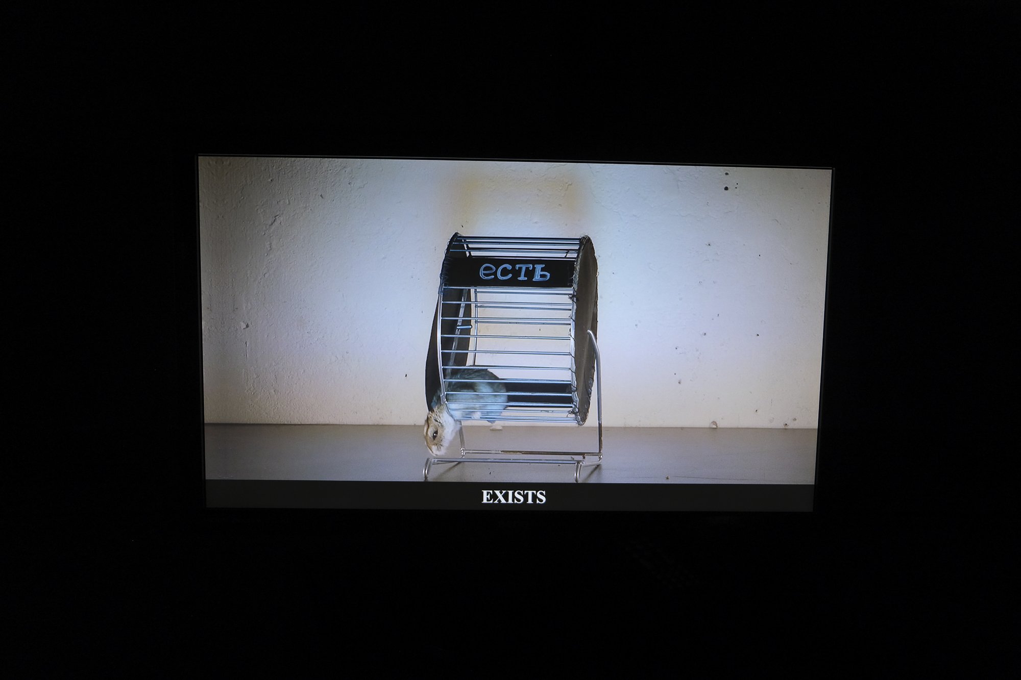   Fra  The Freedom  (2012), video av Anna Tolkacheva. Foto. Vilde Gjerde Lied 
