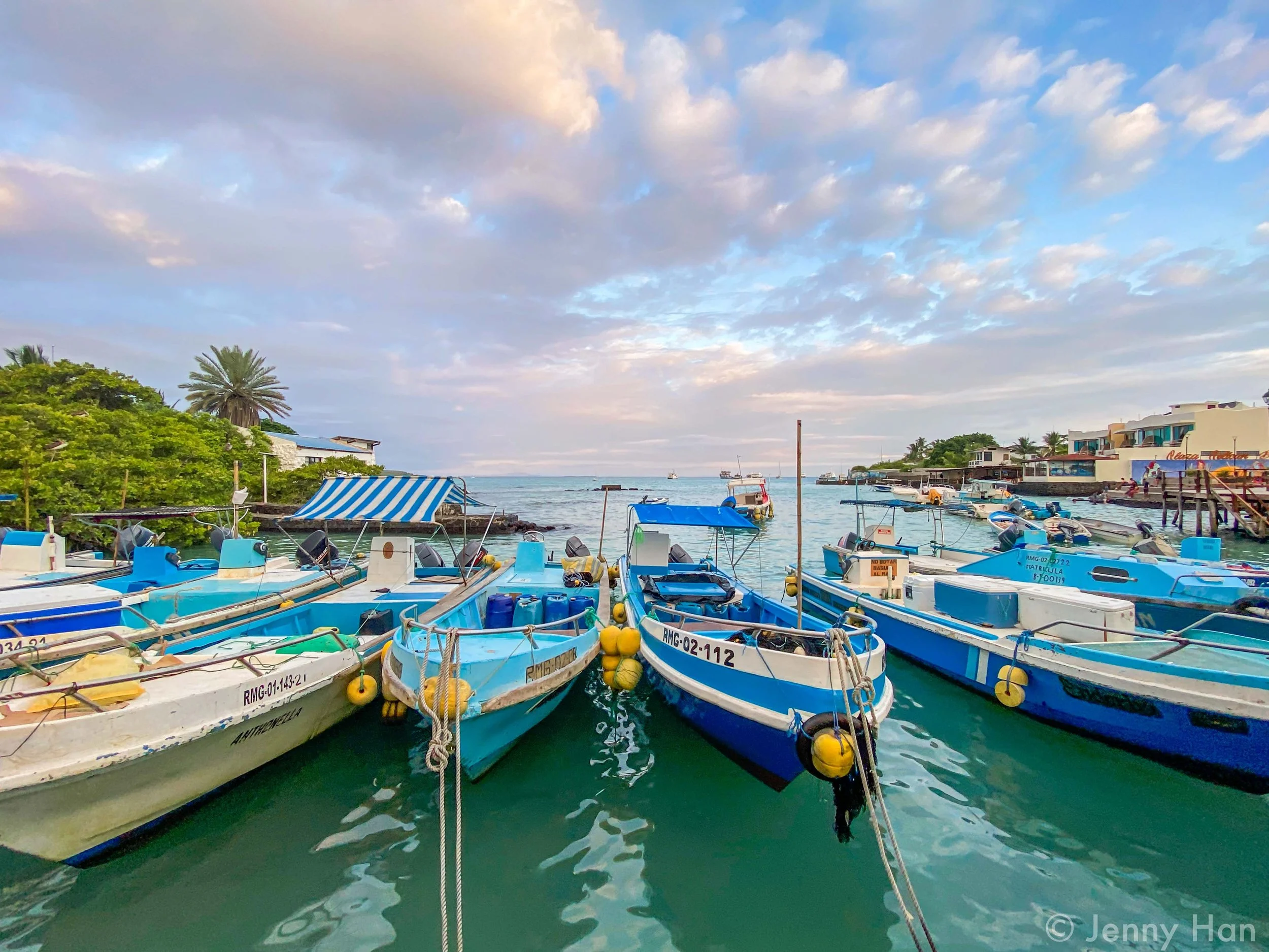 Puerto Ayora Dock.jpg