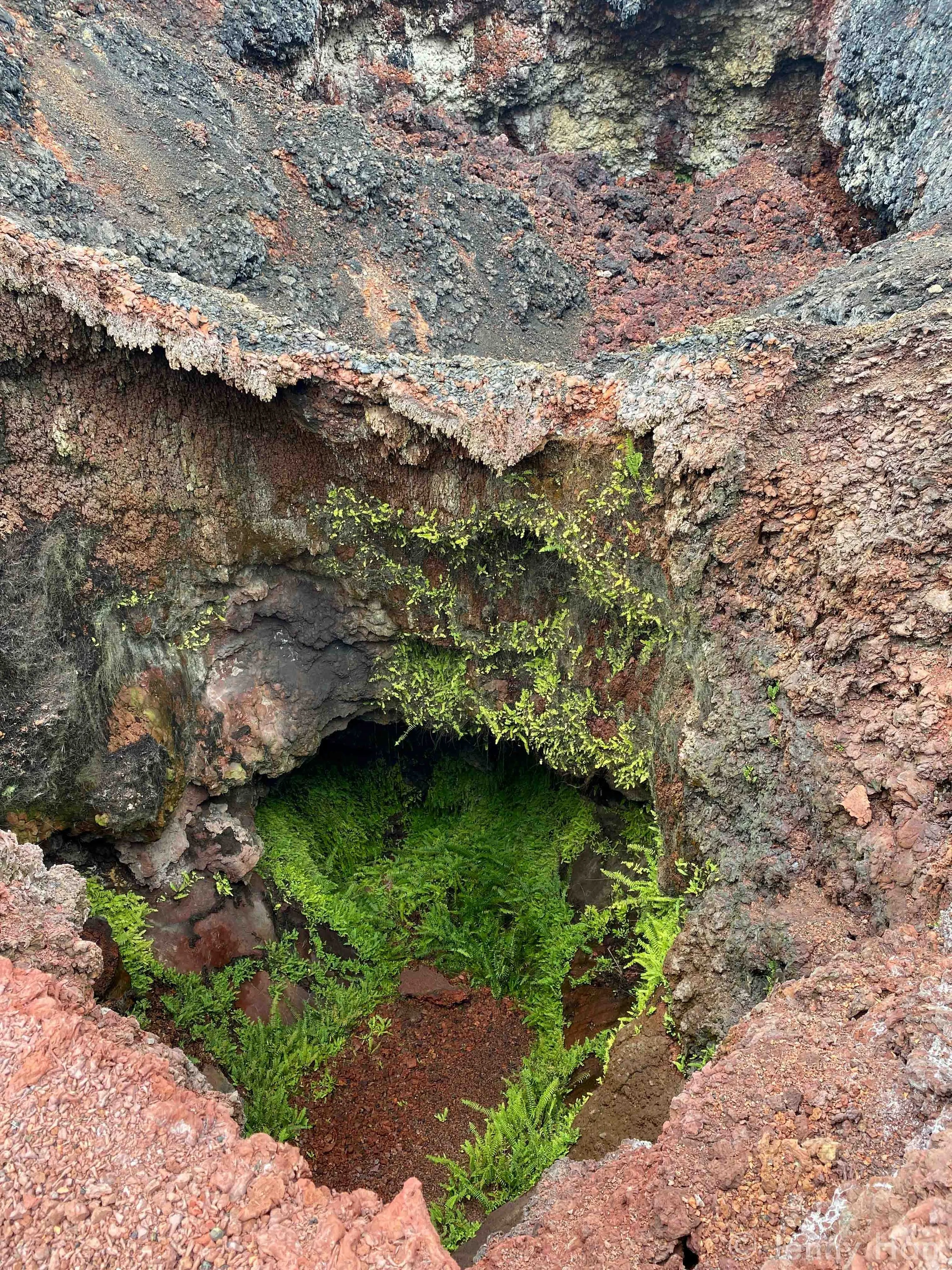 Volcan Chico Fissure Vent_.jpg