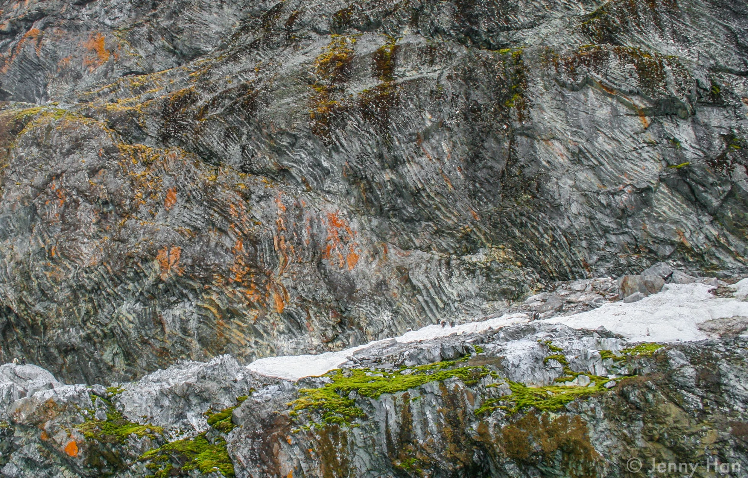 Antarctica Lichen Wall 2.jpg
