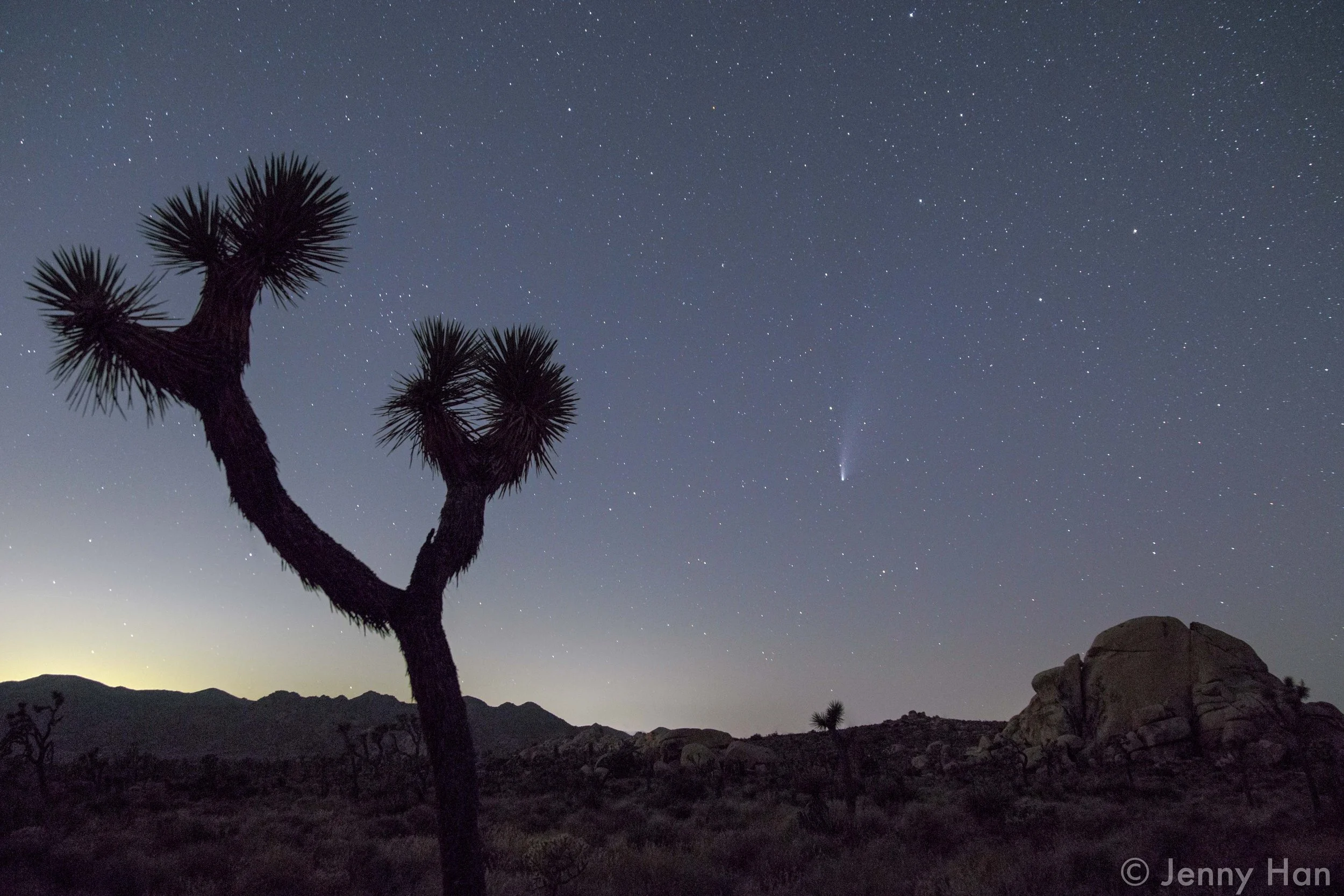 JTNP Neowise.jpg
