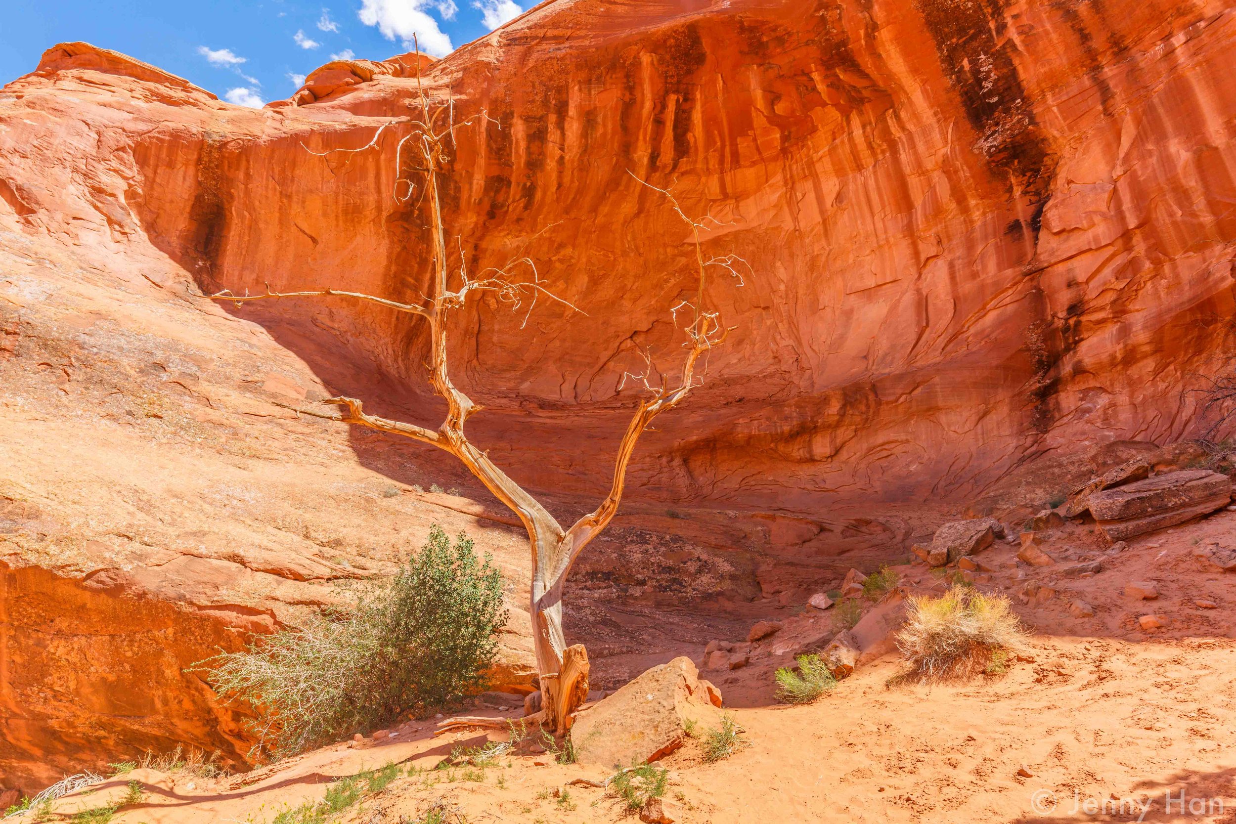 Ear_of_the_Wind_Arch.jpg