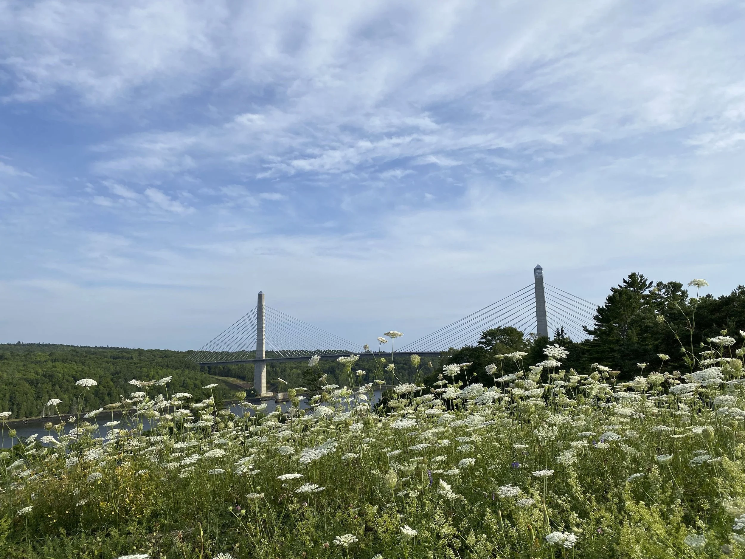 Fort_Knox_View_Penobscot_Bridge.jpeg