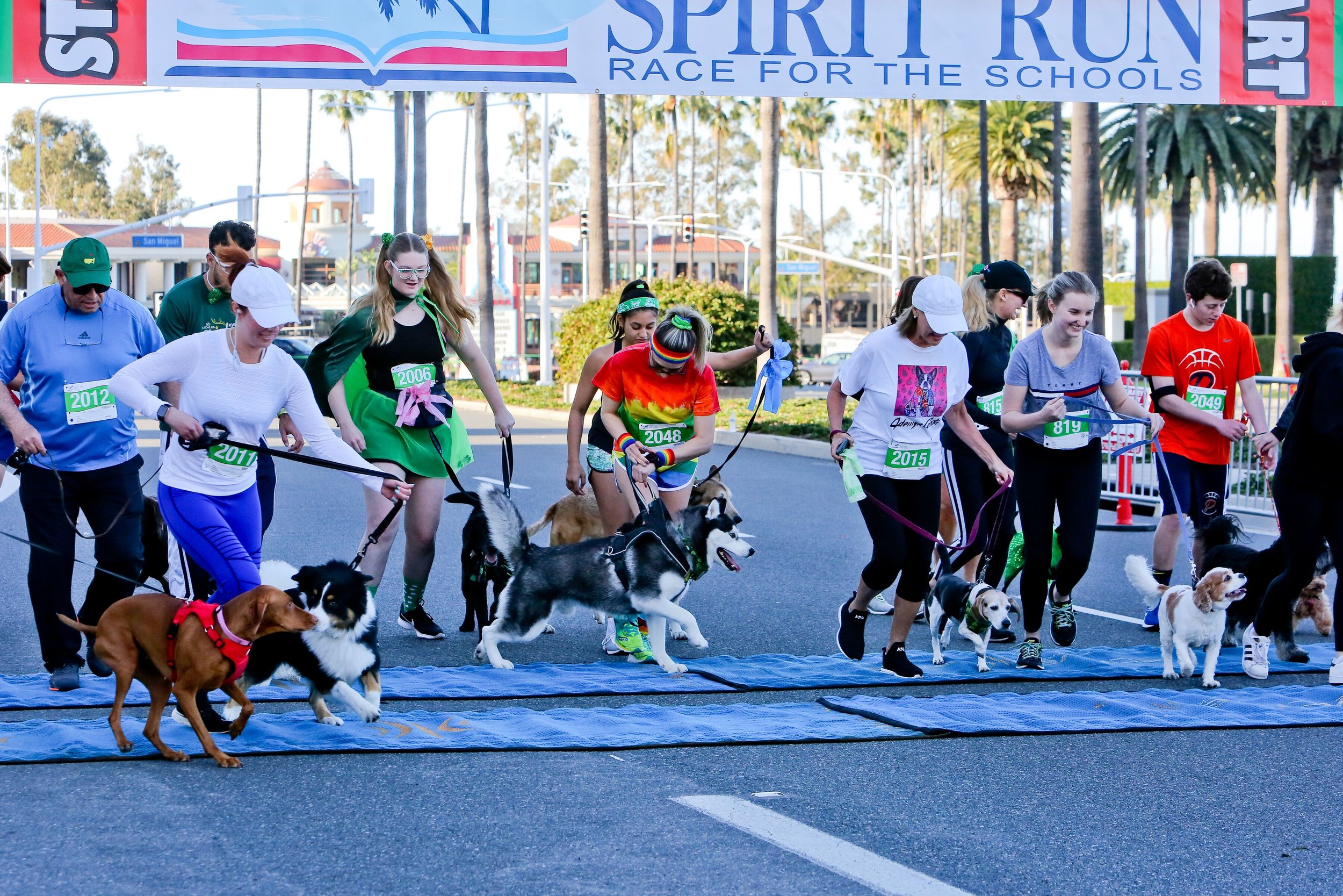 dog milers taking off.jpeg