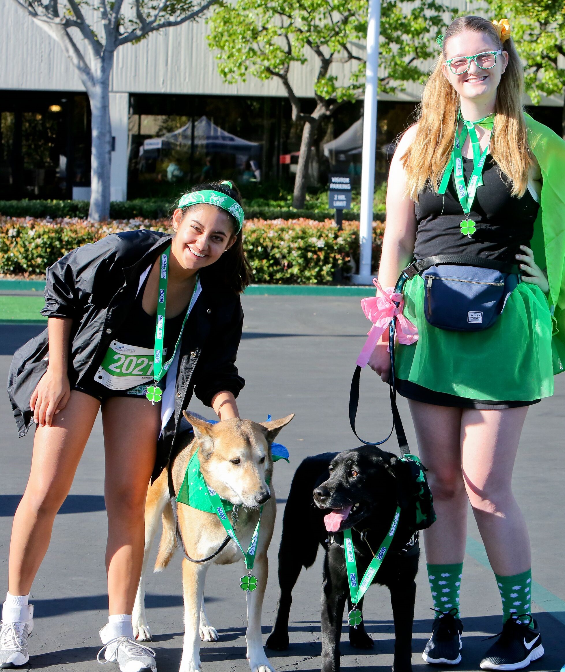 kara jaya dogs cropped.jpeg