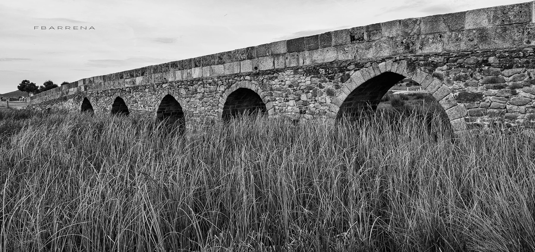 PUENTE 1.jpg